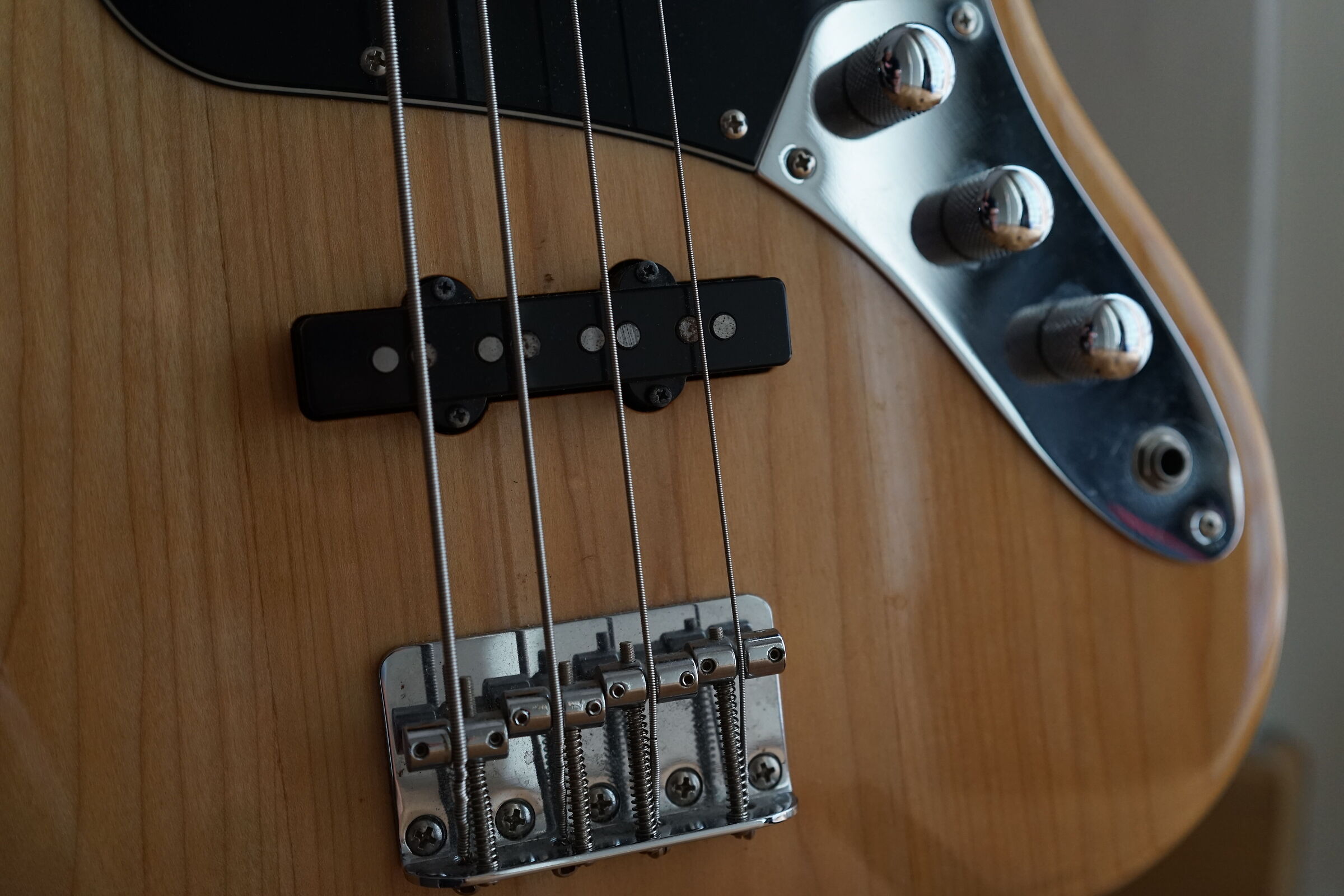The strings of the bass