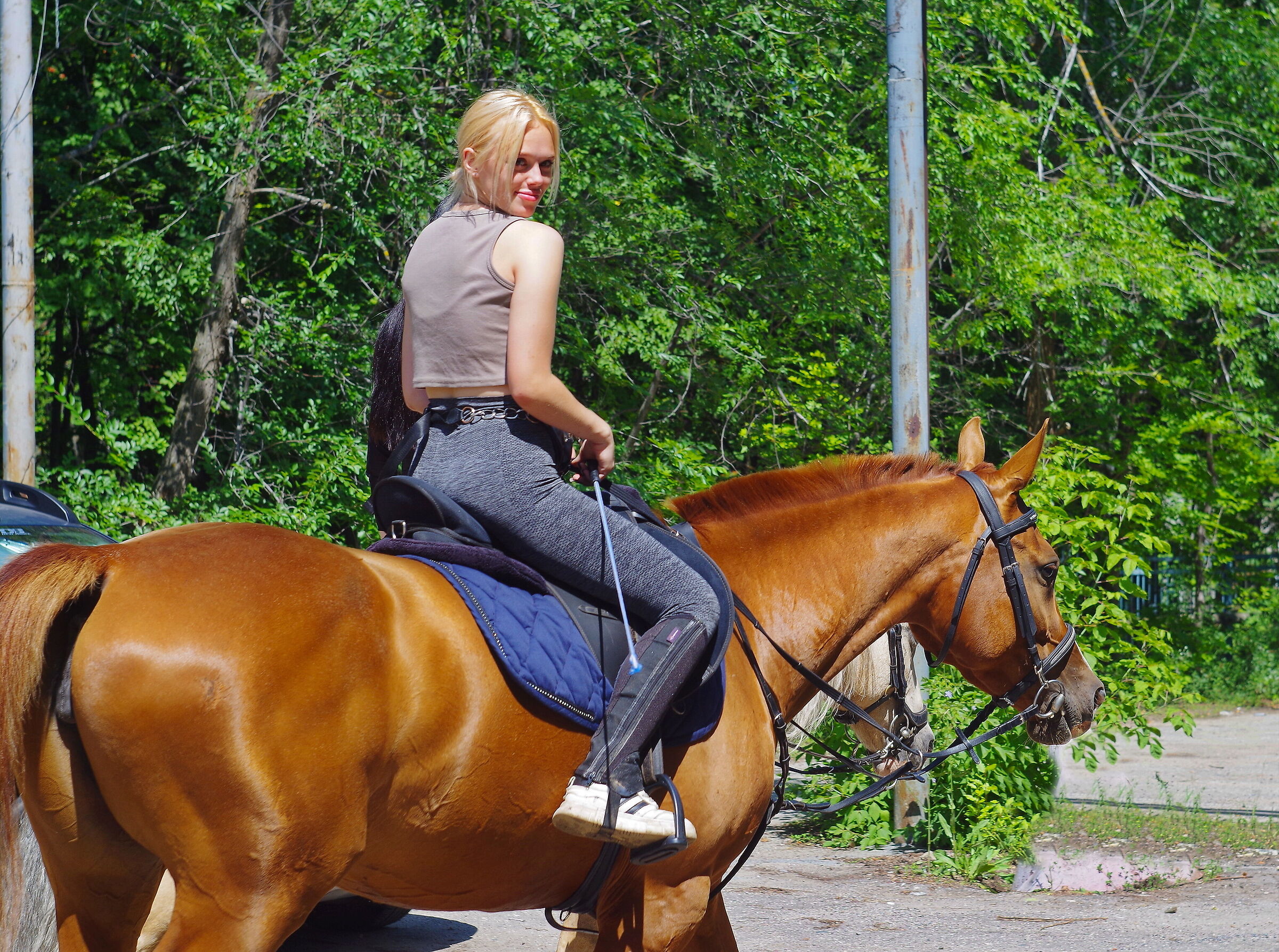 Portrait of a blonde on a horse