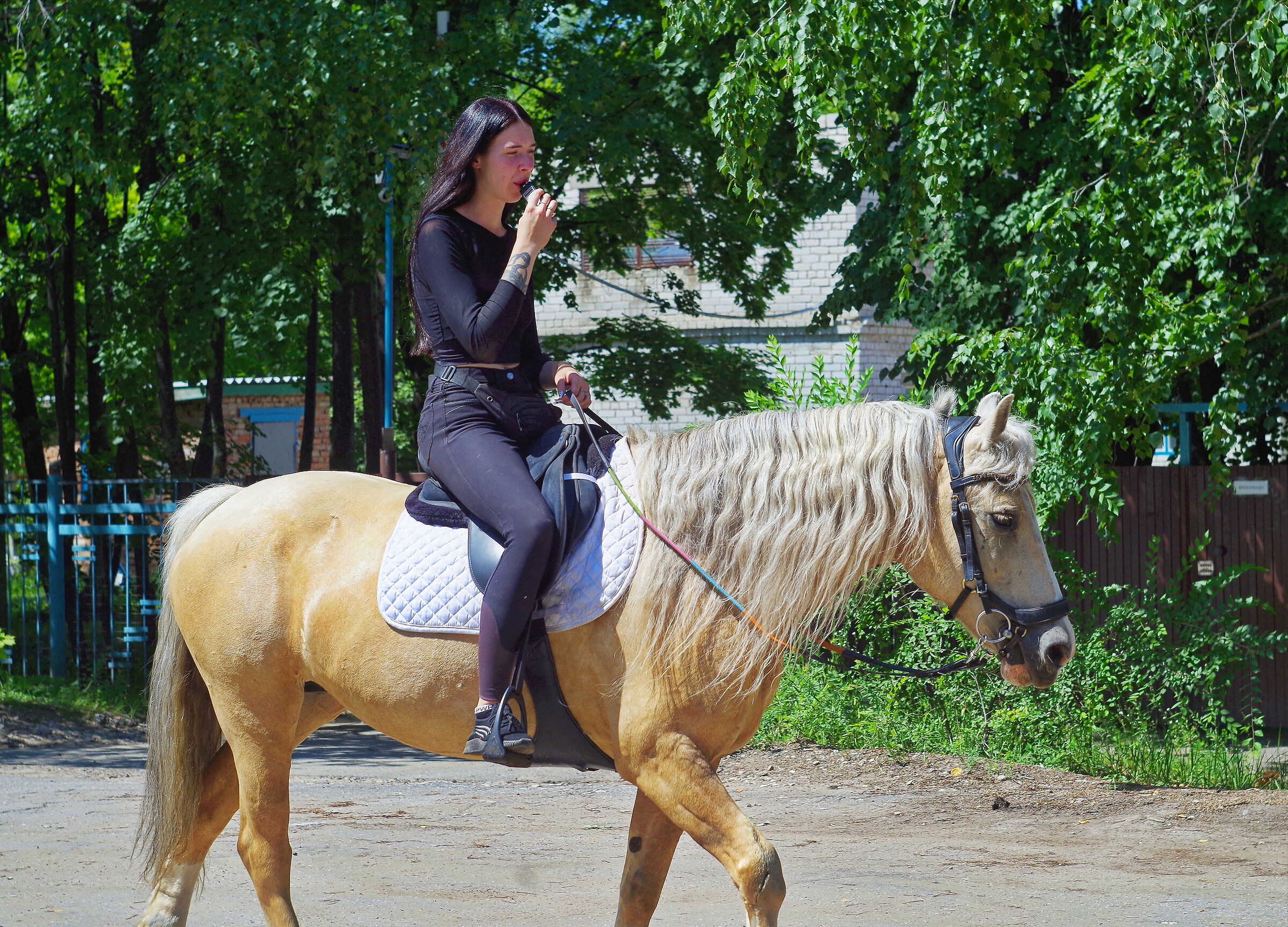 Portrait of a brunette on a horse
