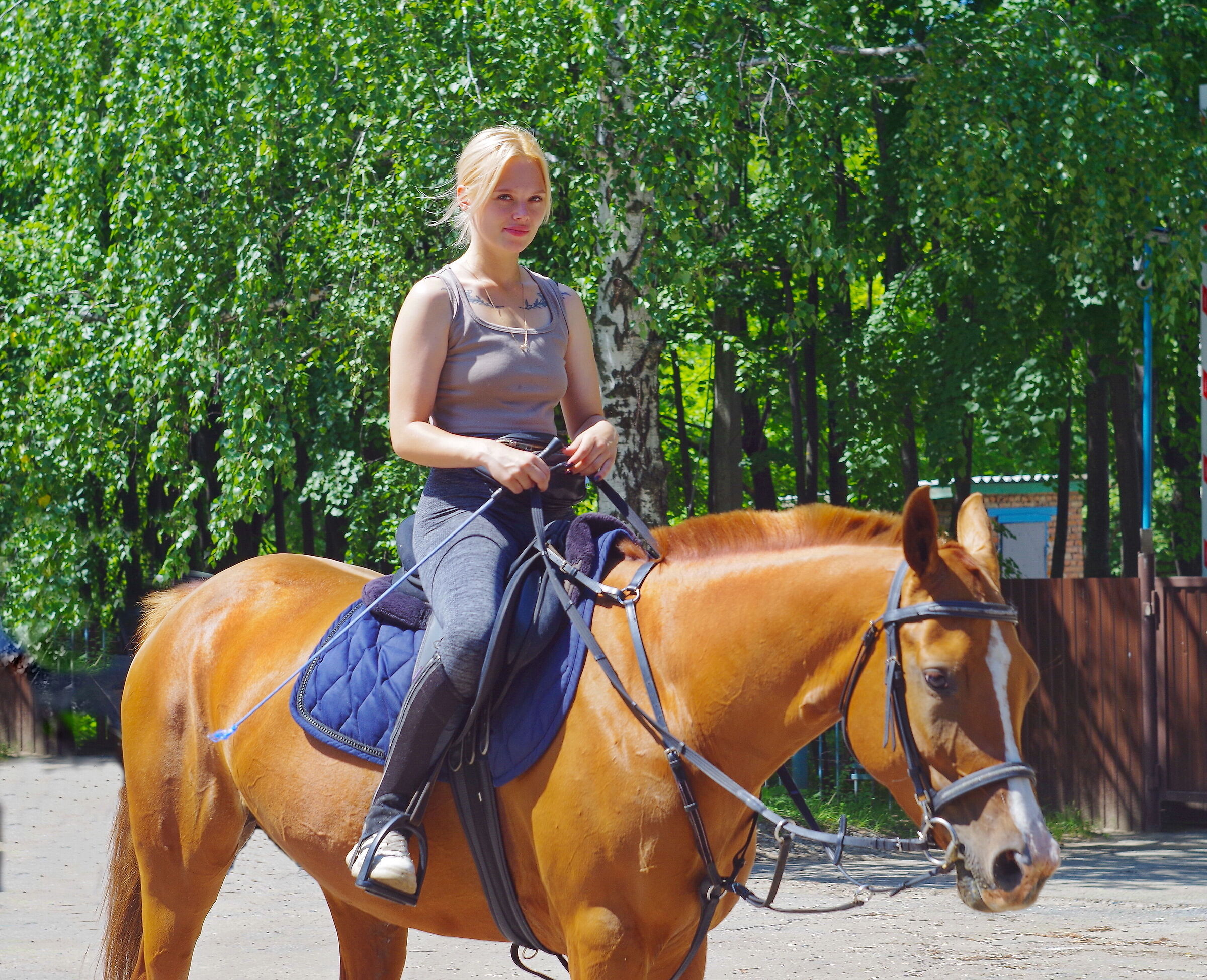 Portrait of a young lady on a horse