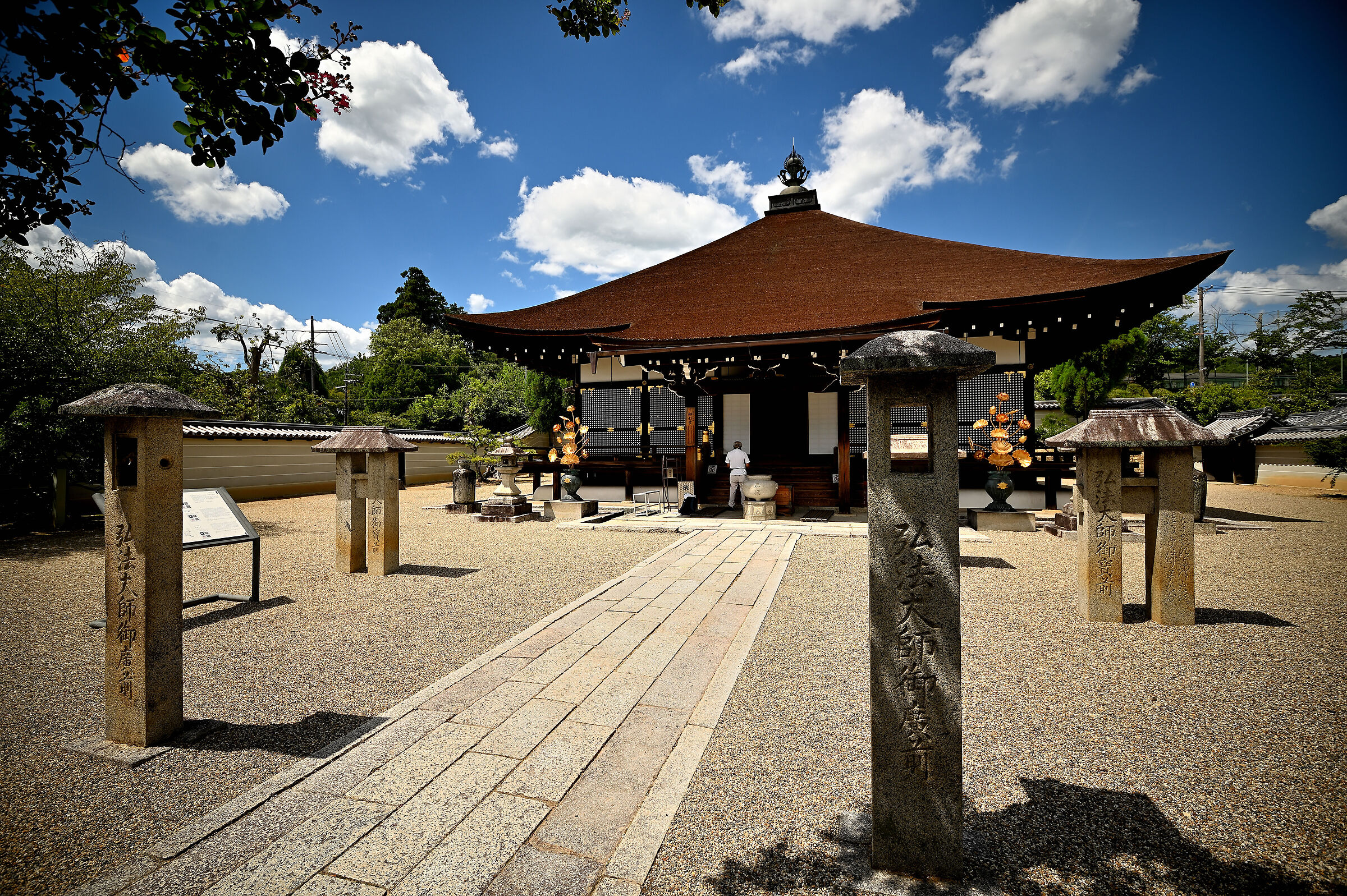 Travel to Japan