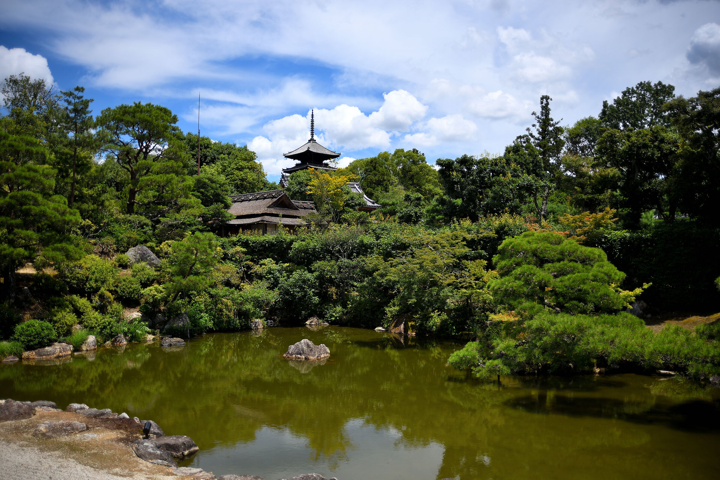 Travel to Japan