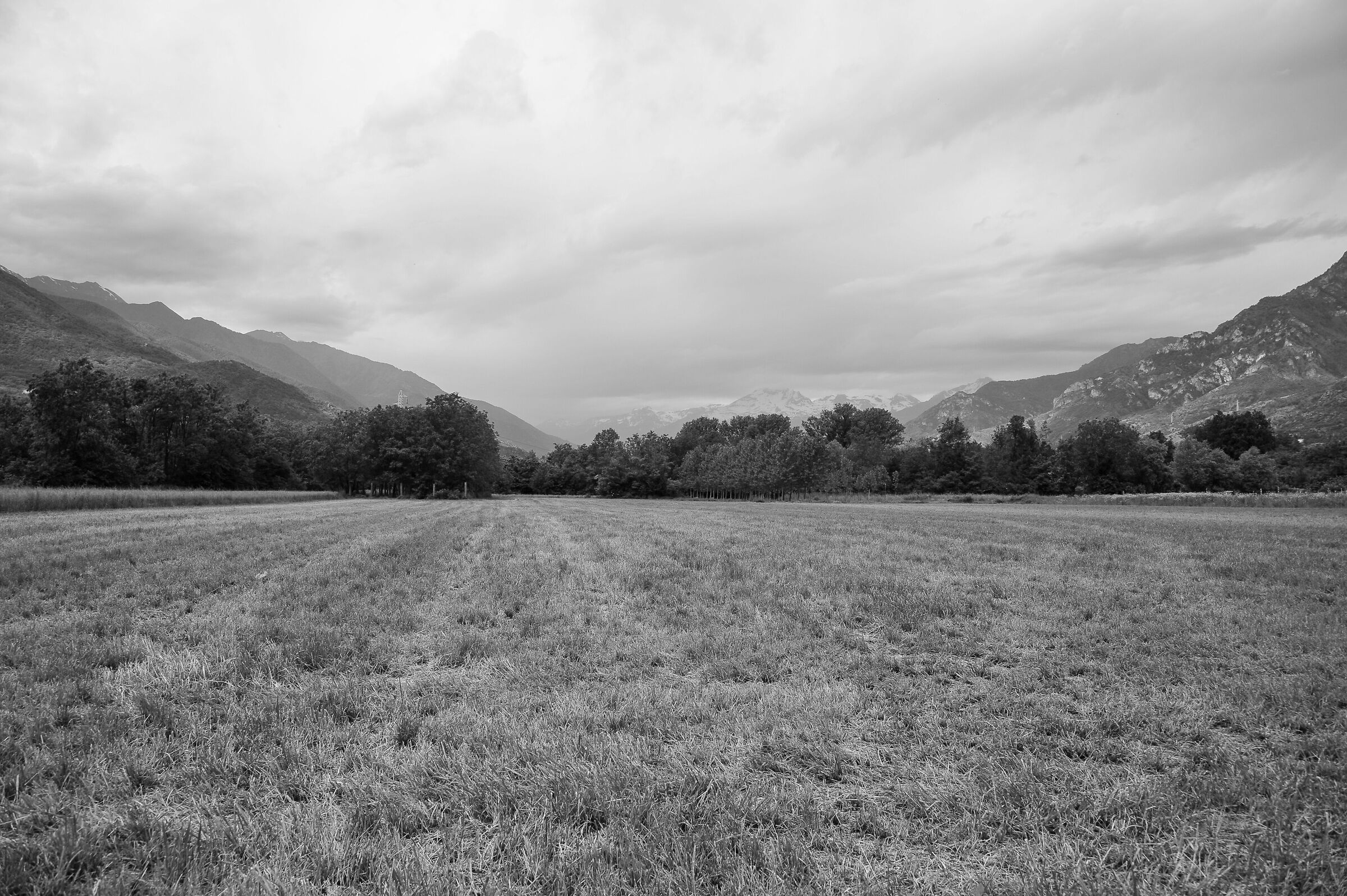 Untitled Photo
