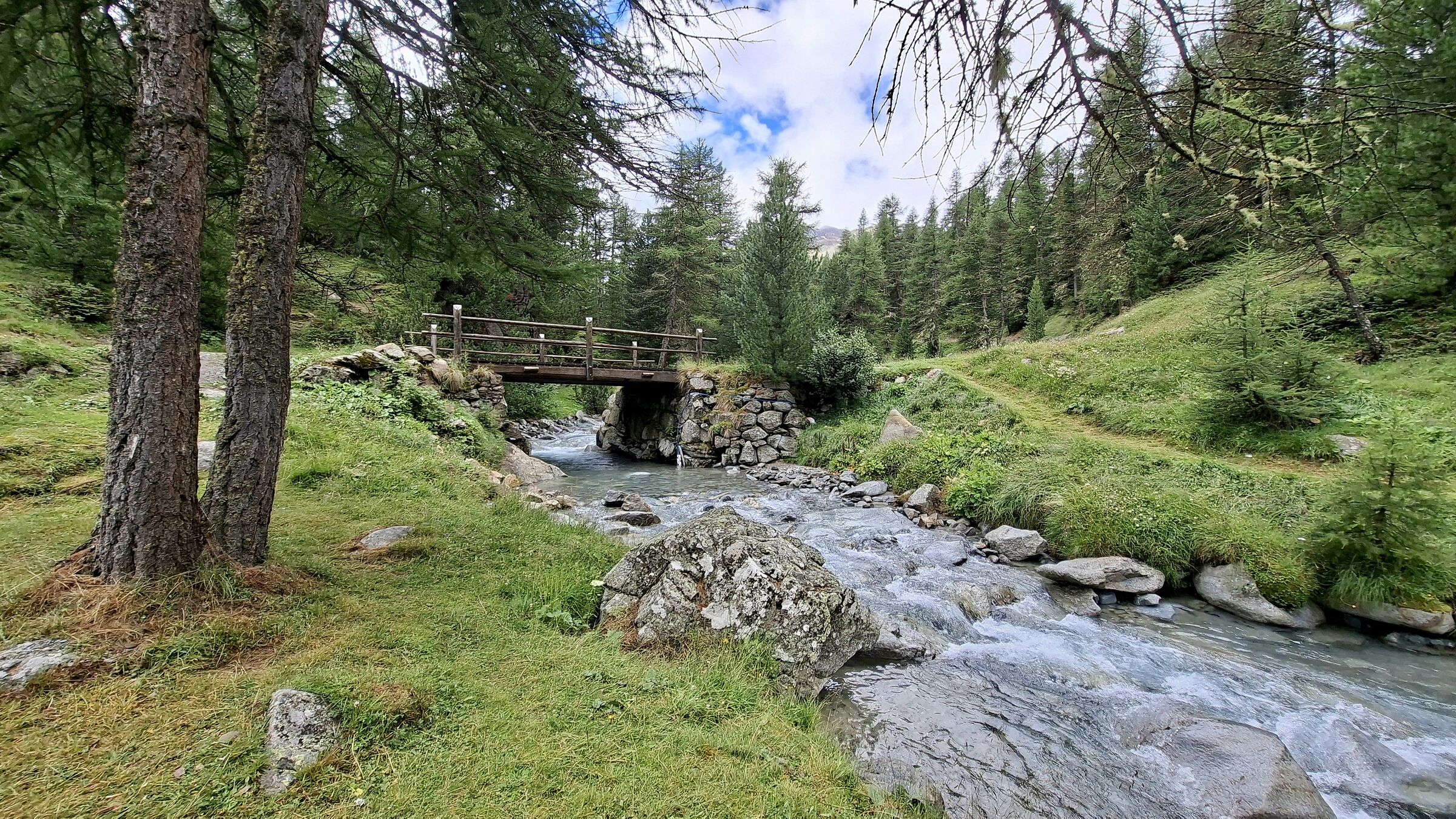 Verso alpe vago (Livigno)