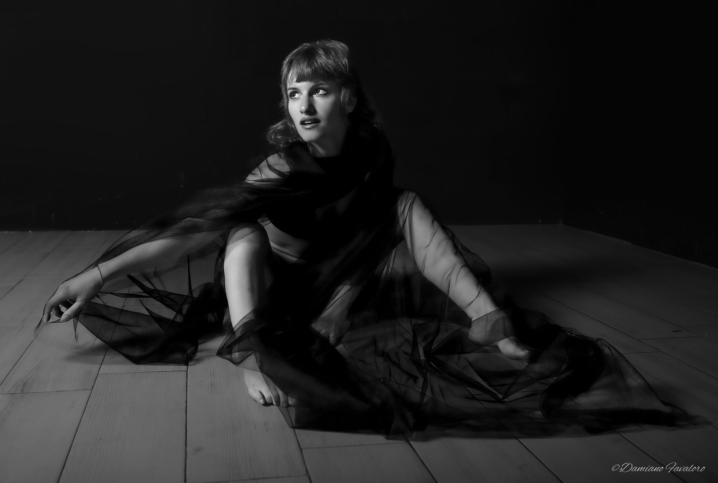 Veils, lights and shadows