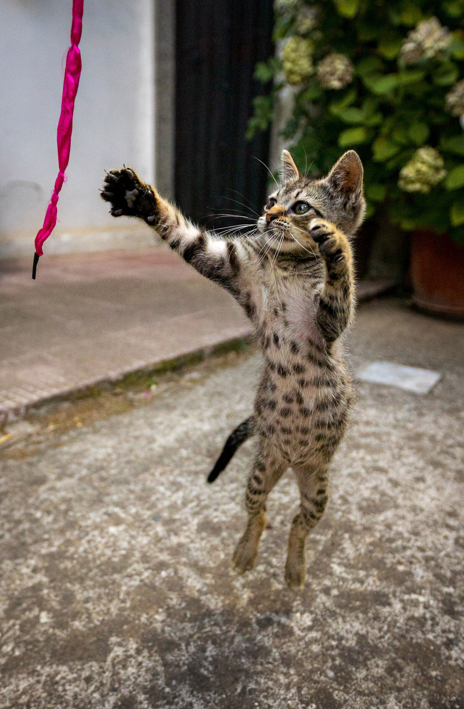 Jump