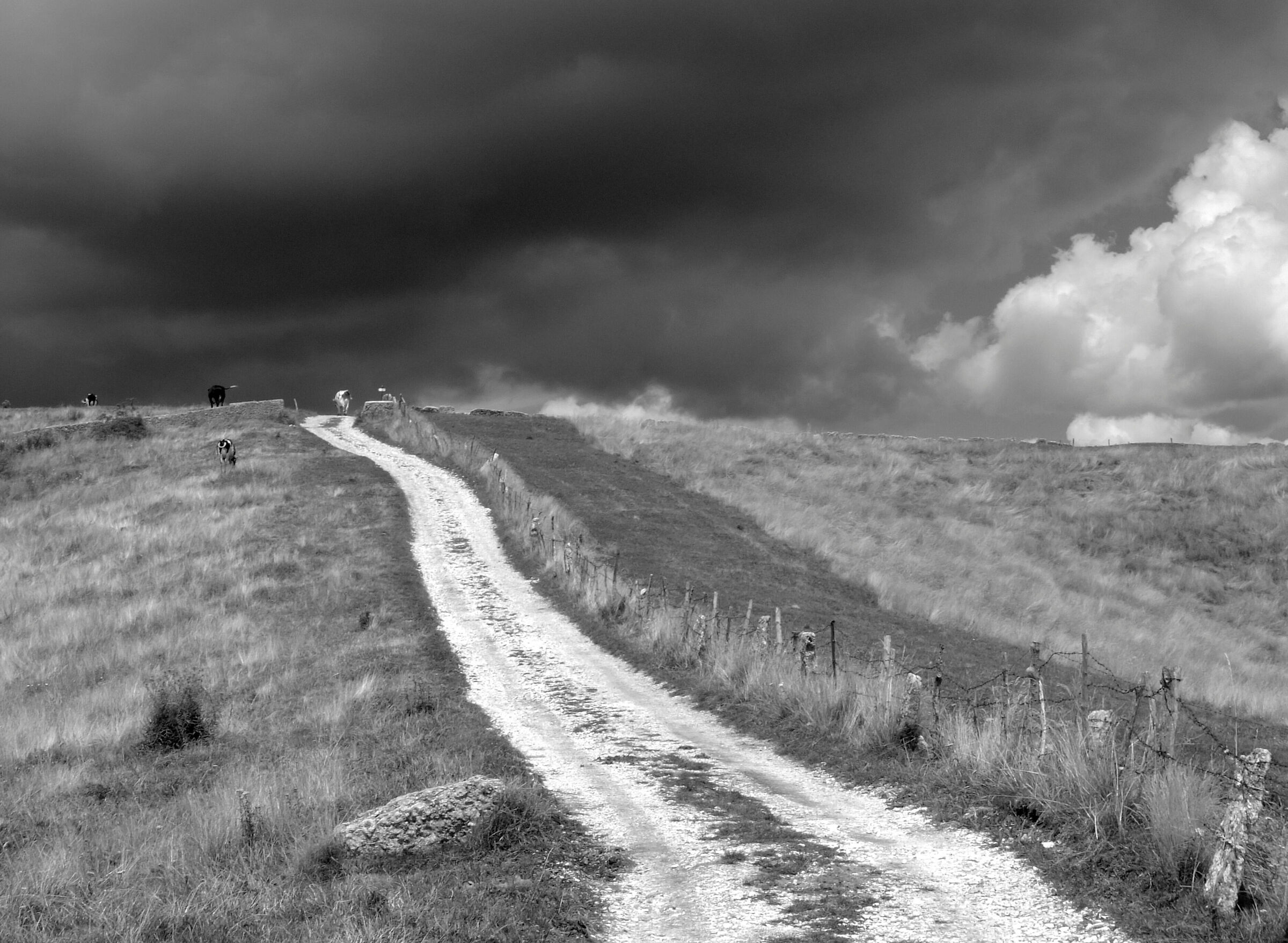 Temporale in arrivo