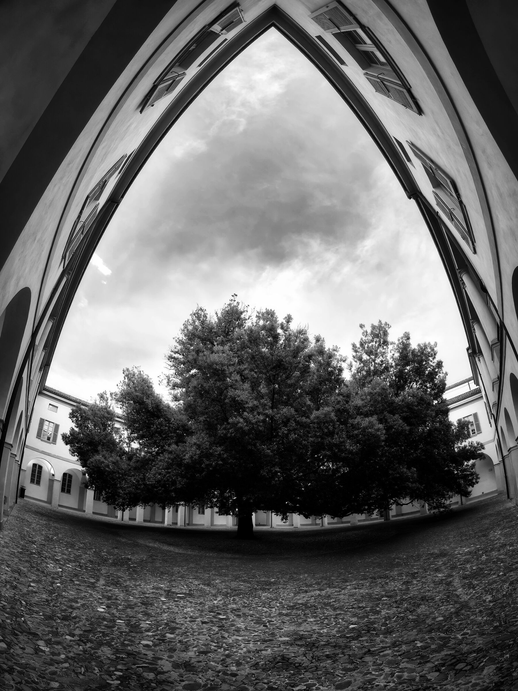 Modena - Leccio di San Paolo