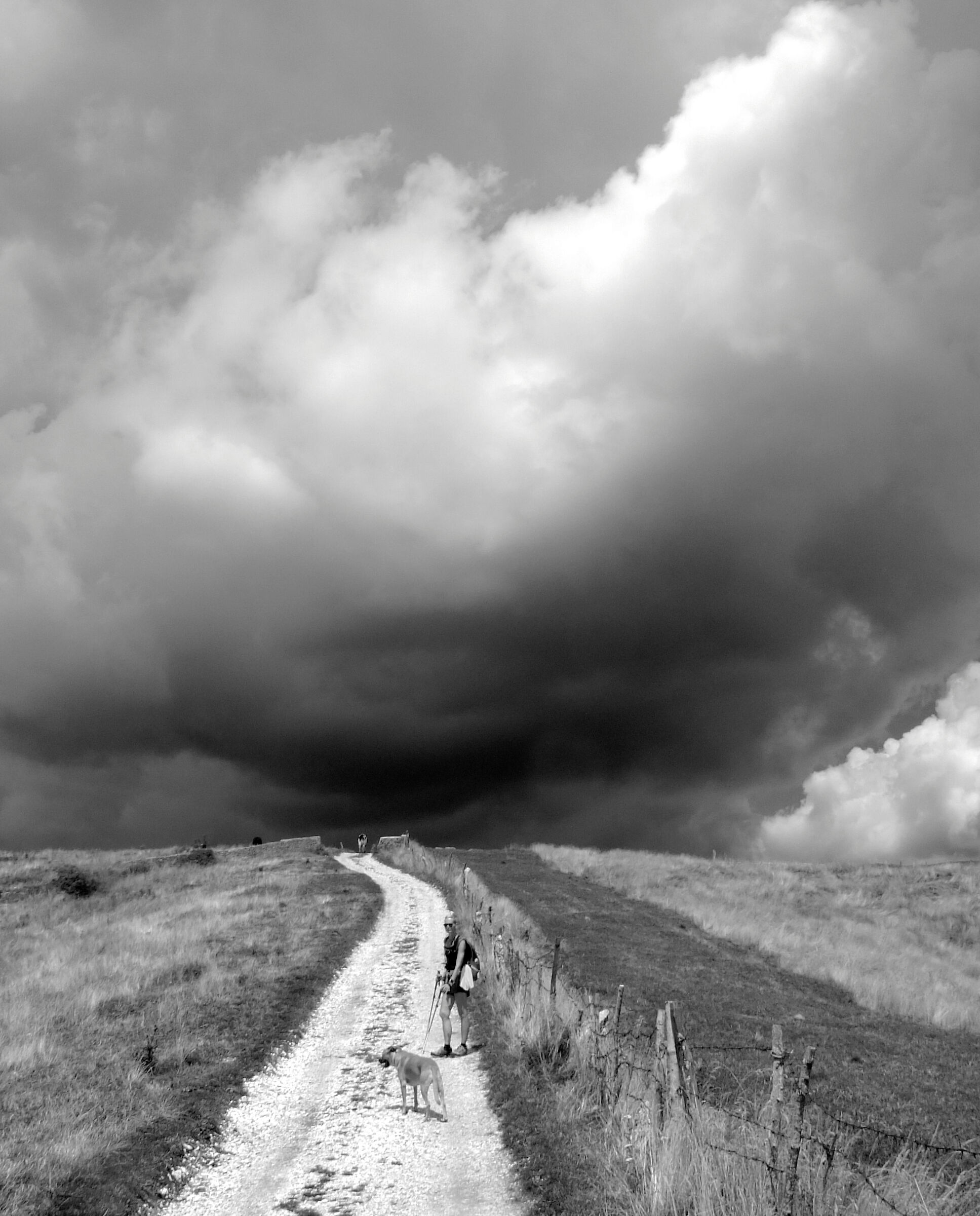 Verso il temporale