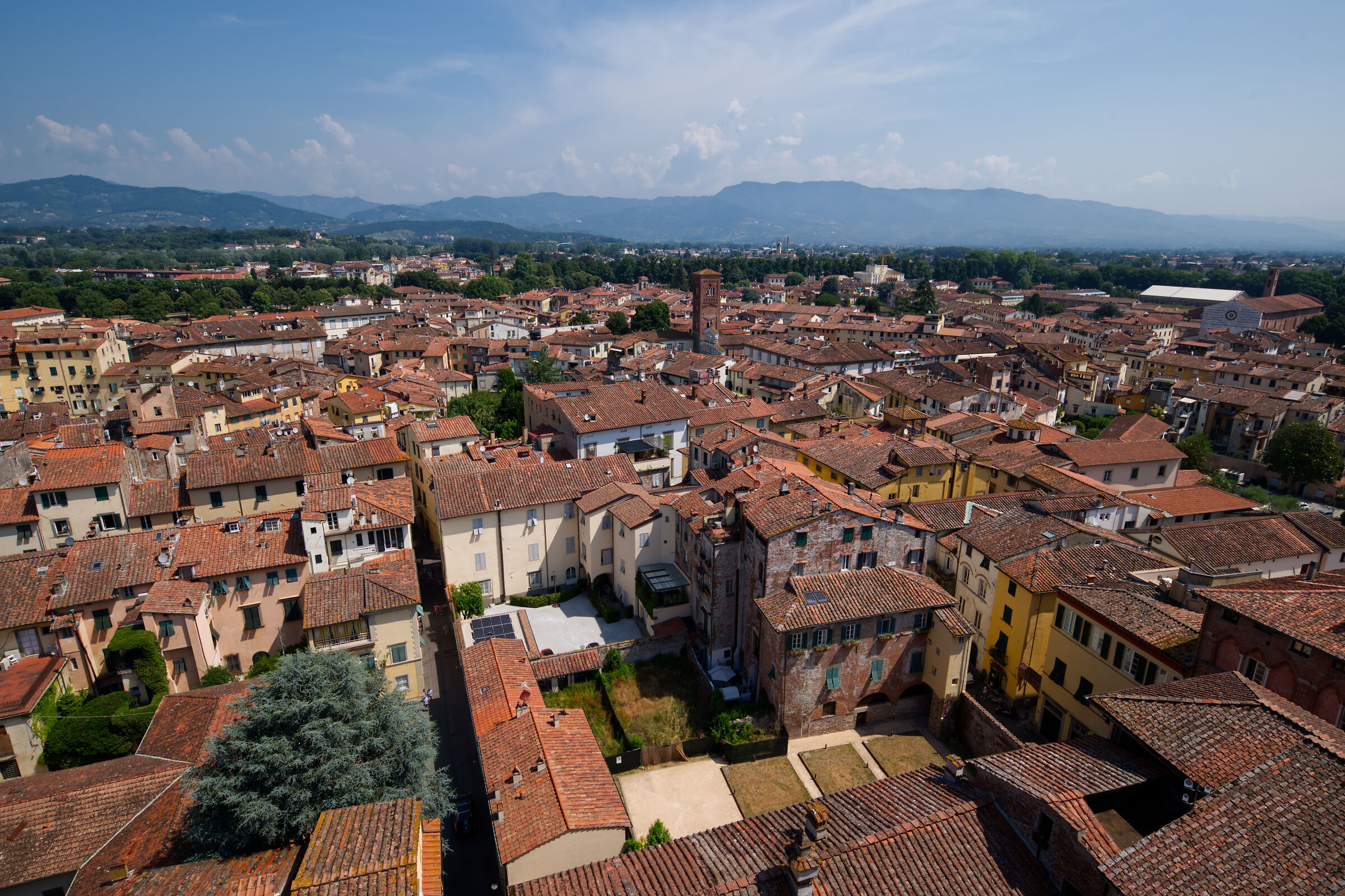 Lucca dalla torre