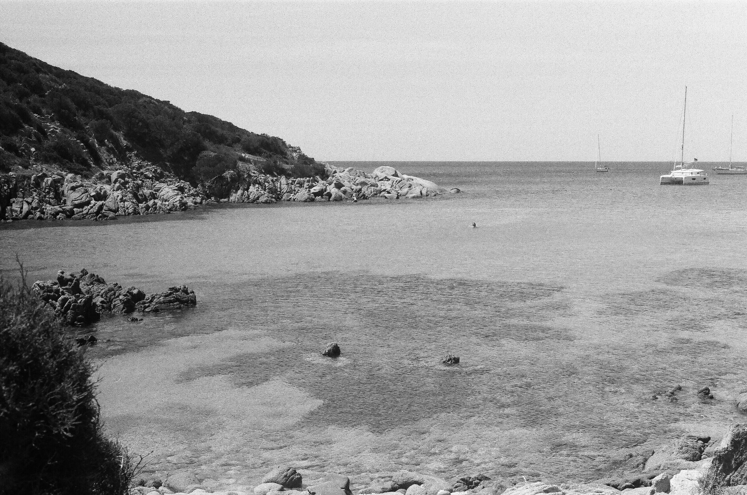 Chia Bay