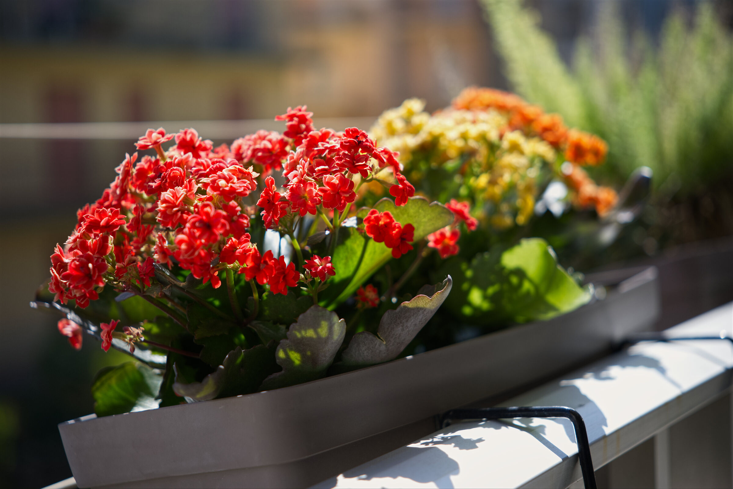 Planter