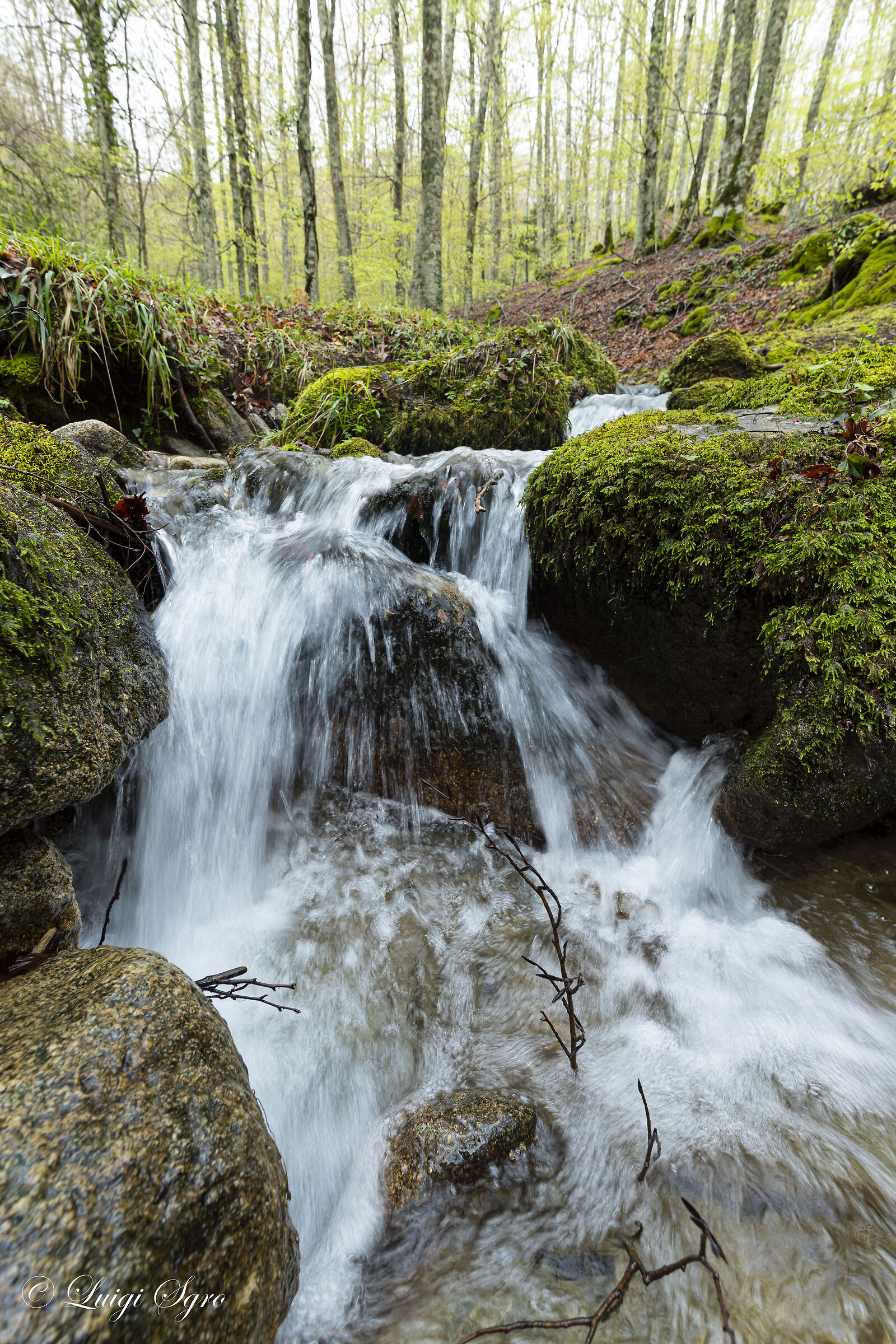 In the heart of the Natural Park