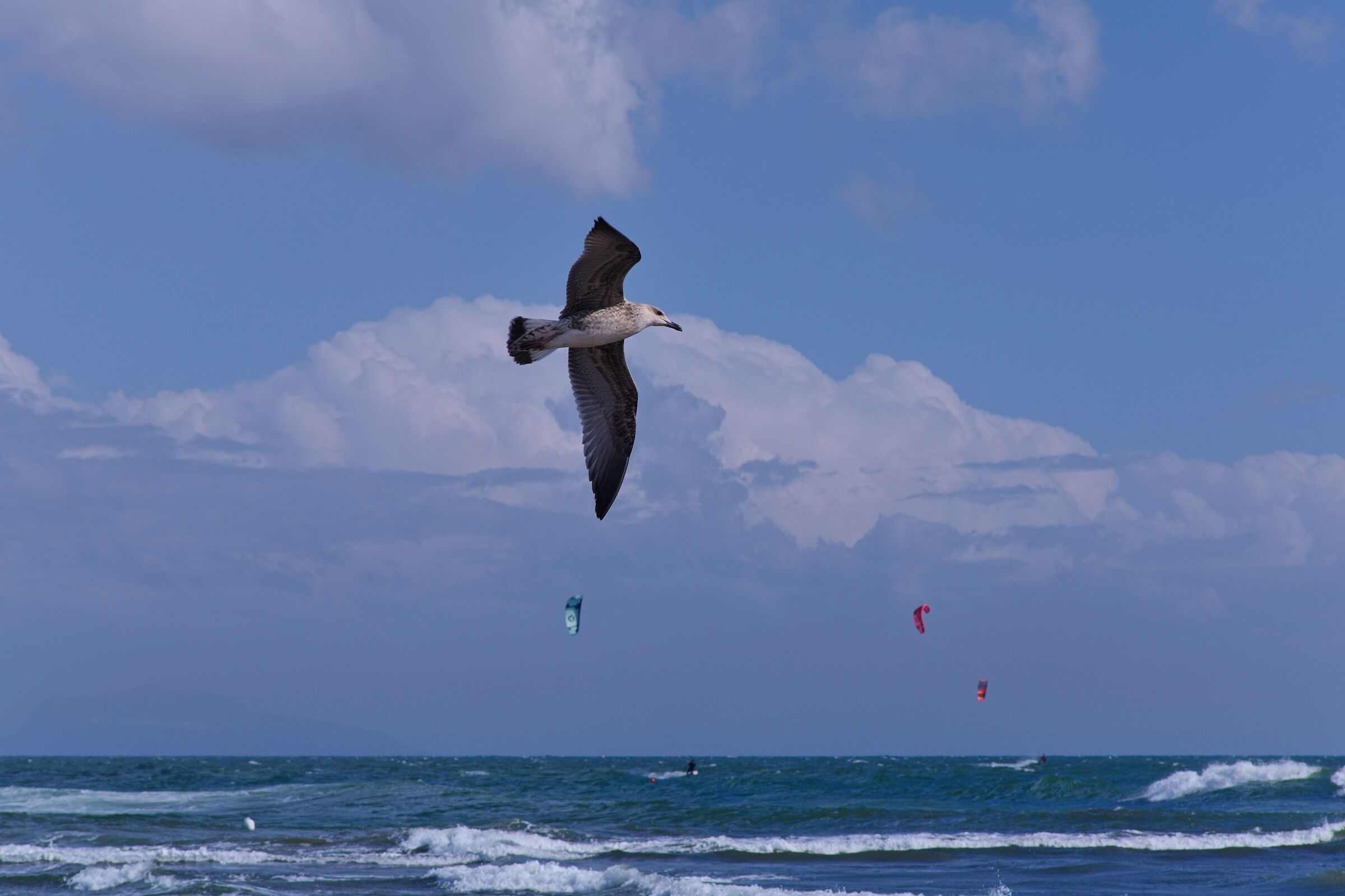 Sailing 3