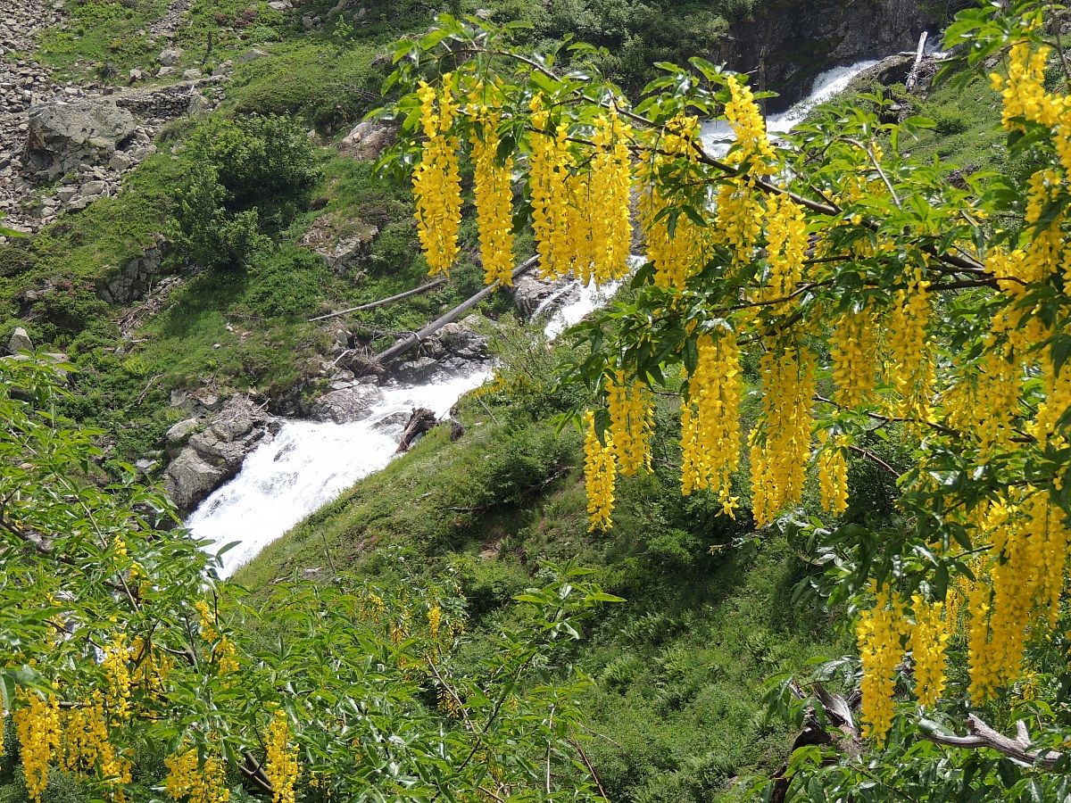 maggiociondoli vallone valasco