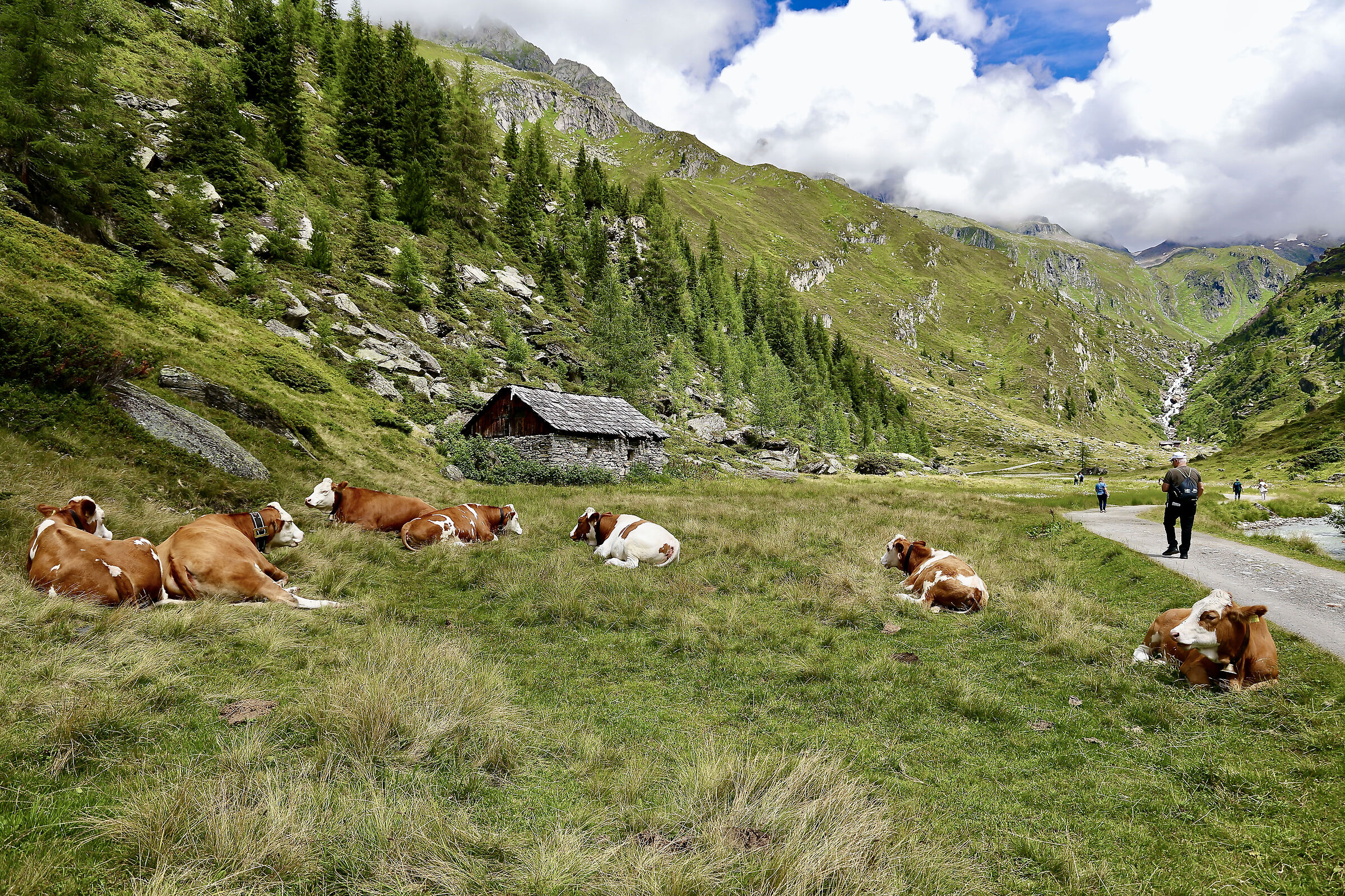 The Vetta d'Italia high route