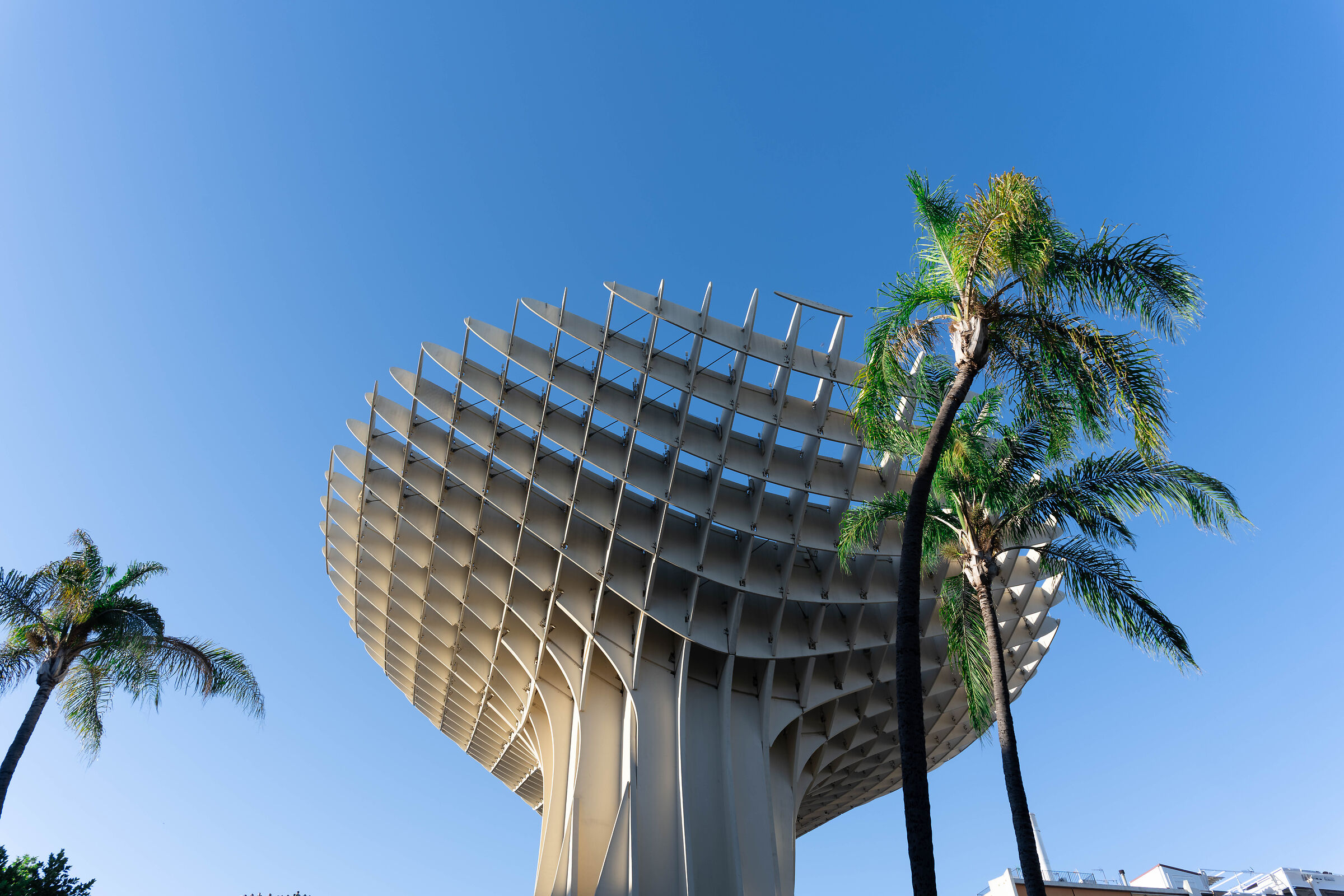 Metropol Parasol