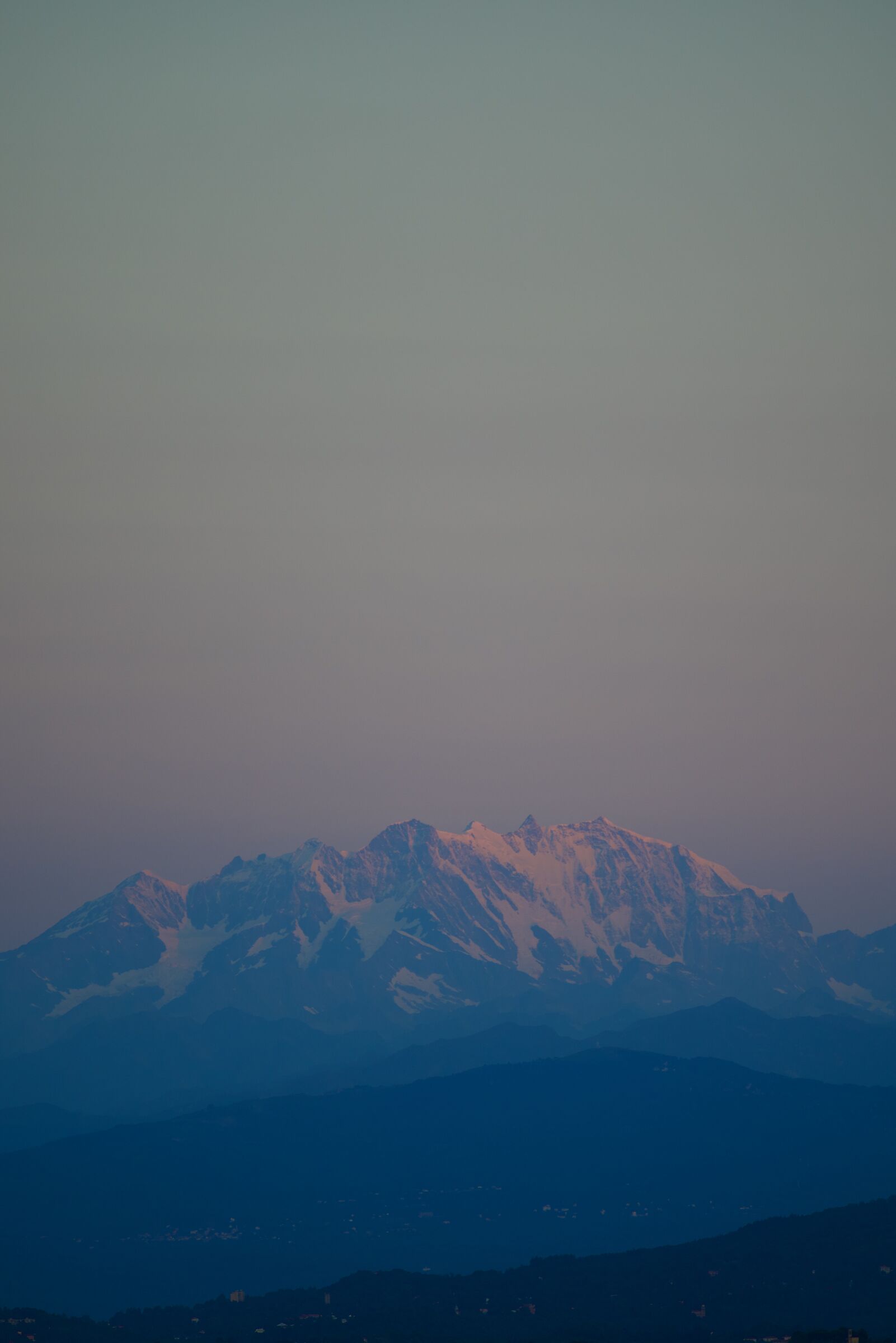 Ora capisco perché si chiama Rosa