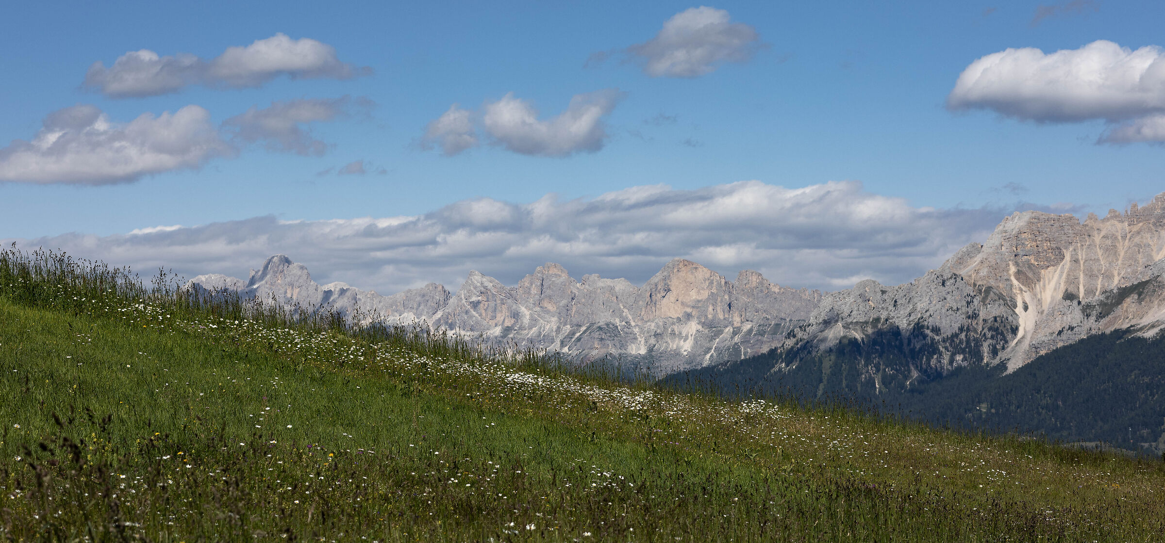 Catinaccio dal passo Oclini