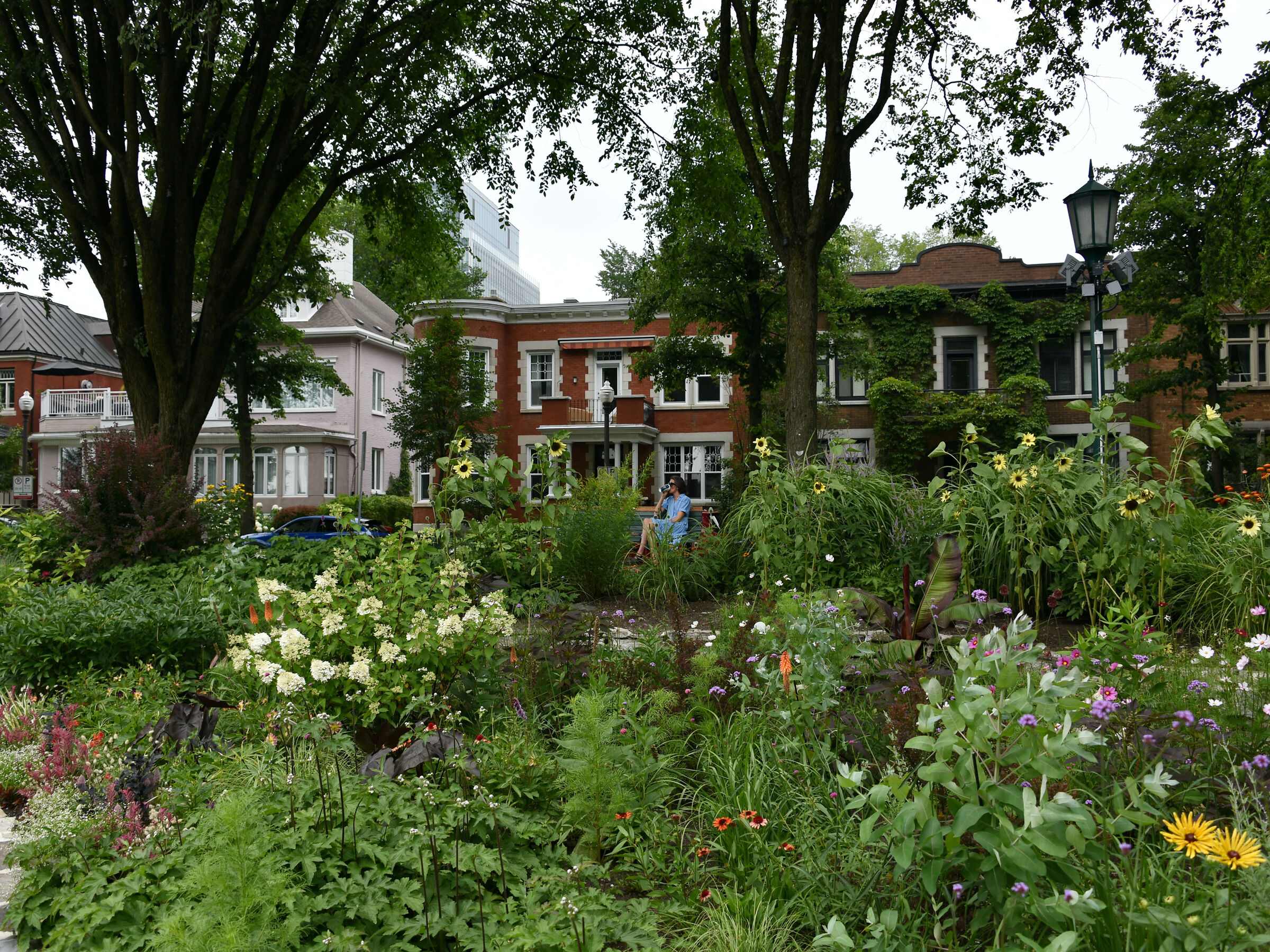 Rilassati nella vecchia Quebec a causa del caldo