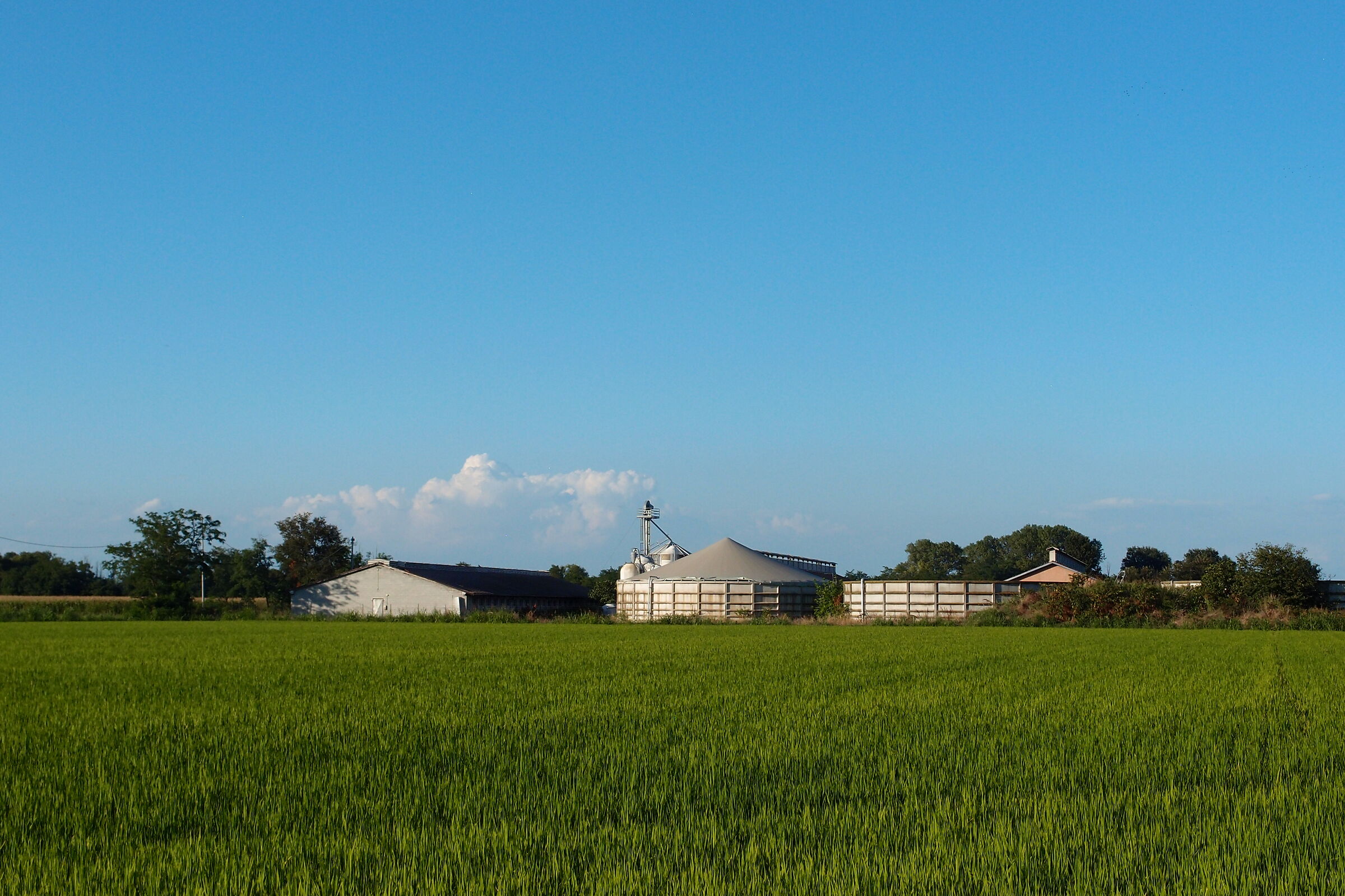 Farmhouse in the Pavia countryside