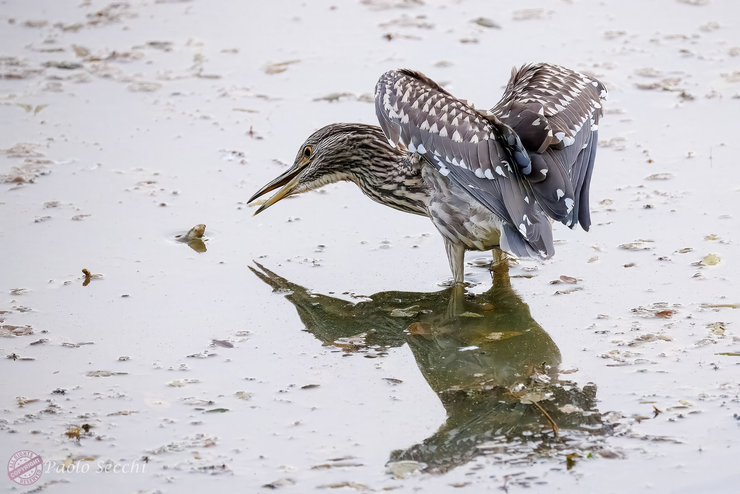 Encounters that change your life!