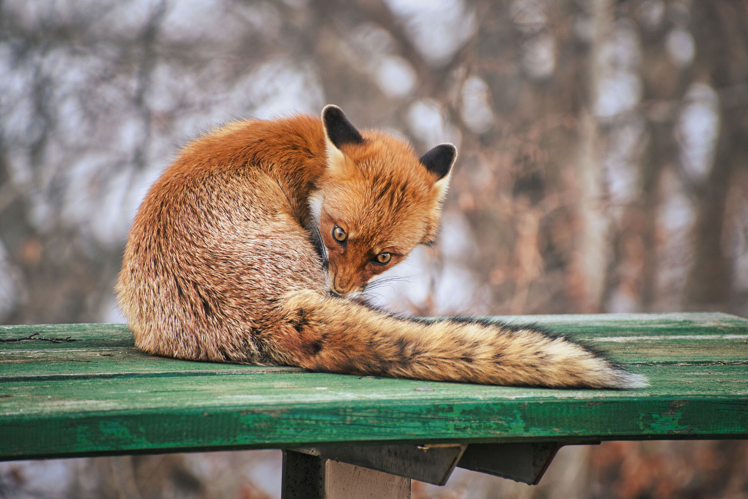 Incontri ravvicinati