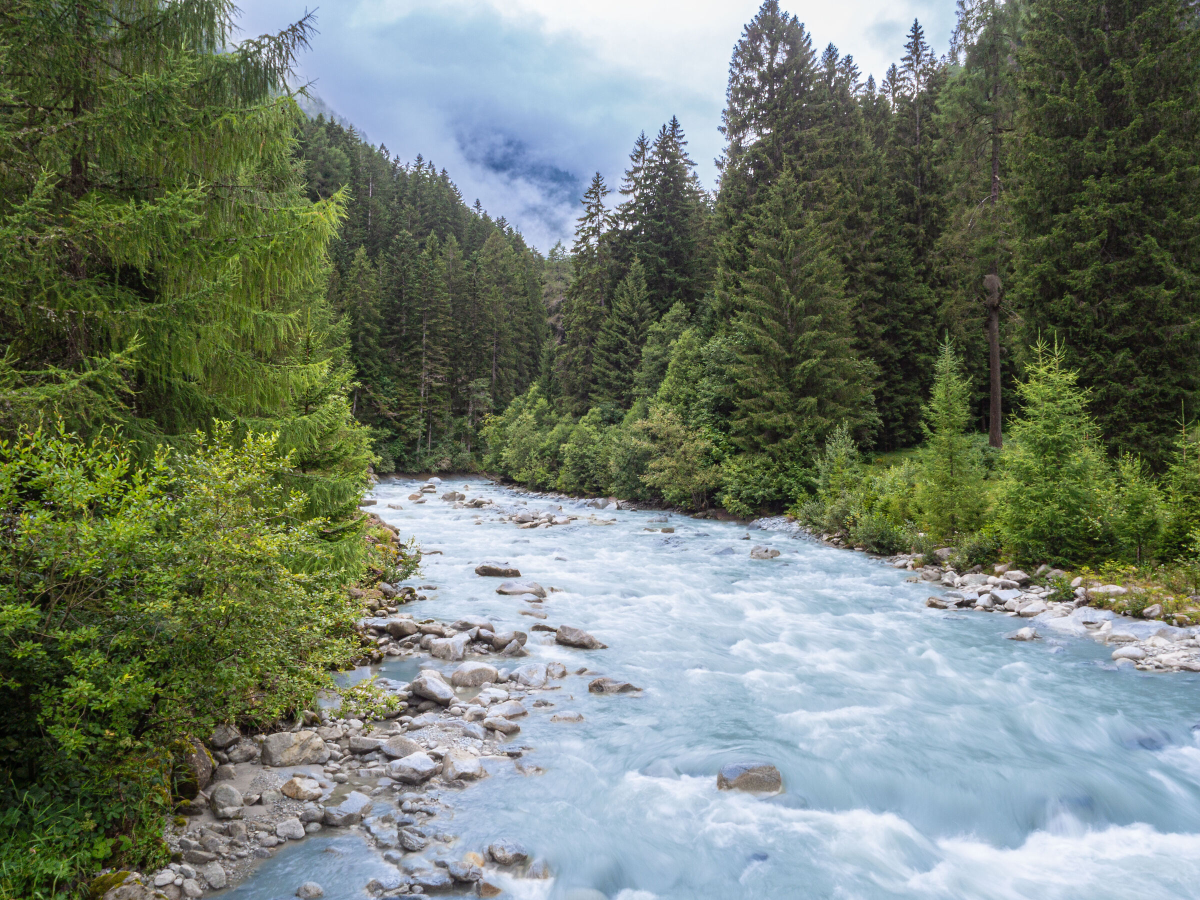 torrent