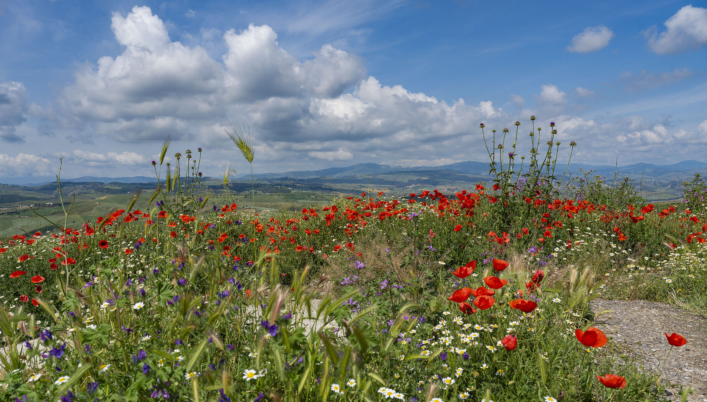 Basilicata - Panorama