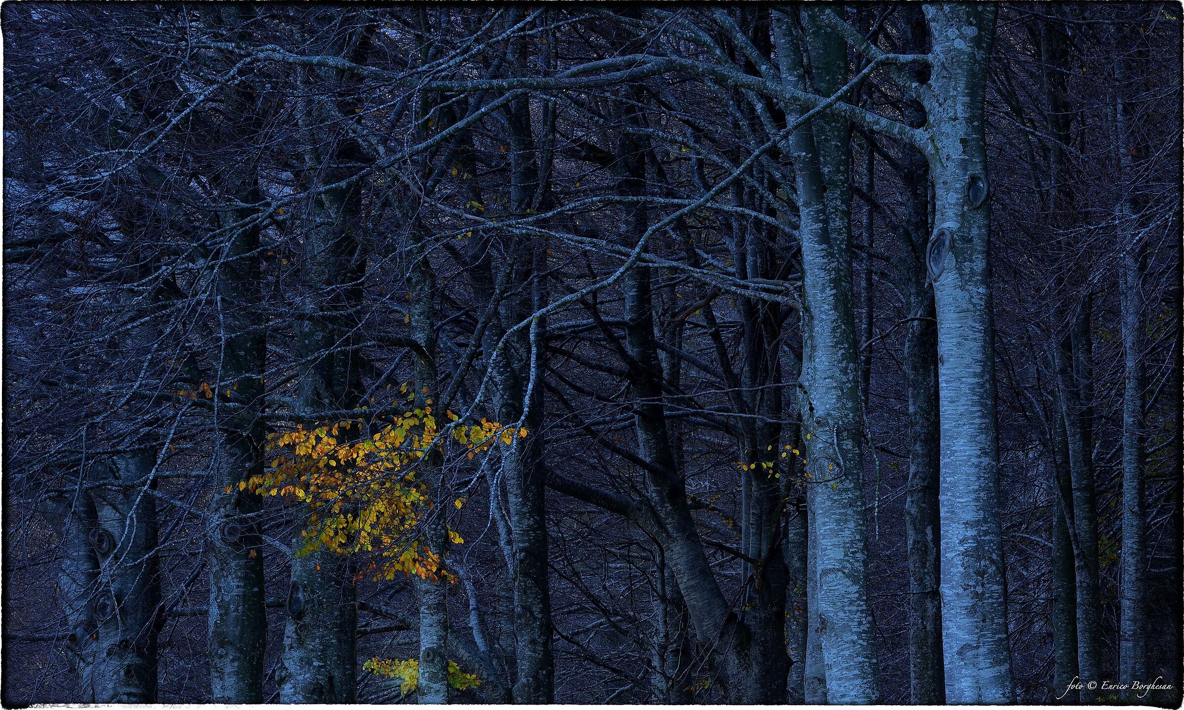 Autunno