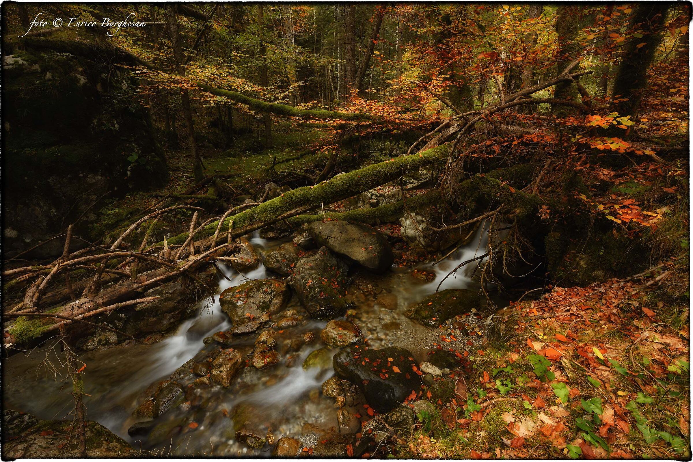 Autunno