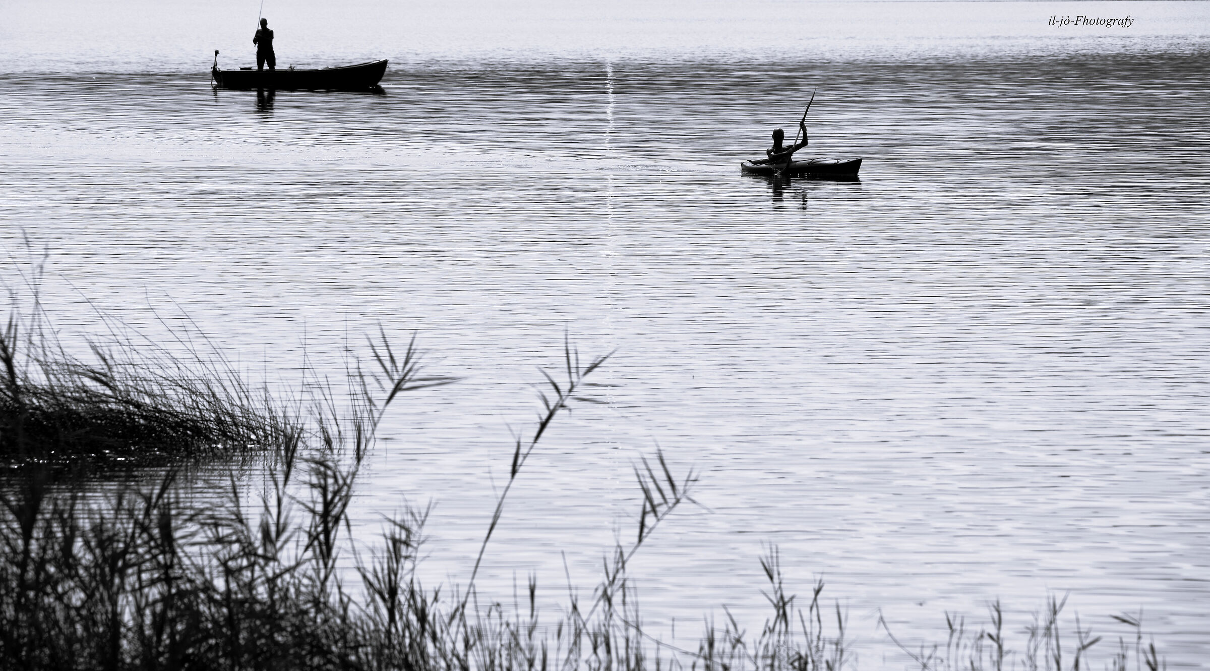 Untitled Photo