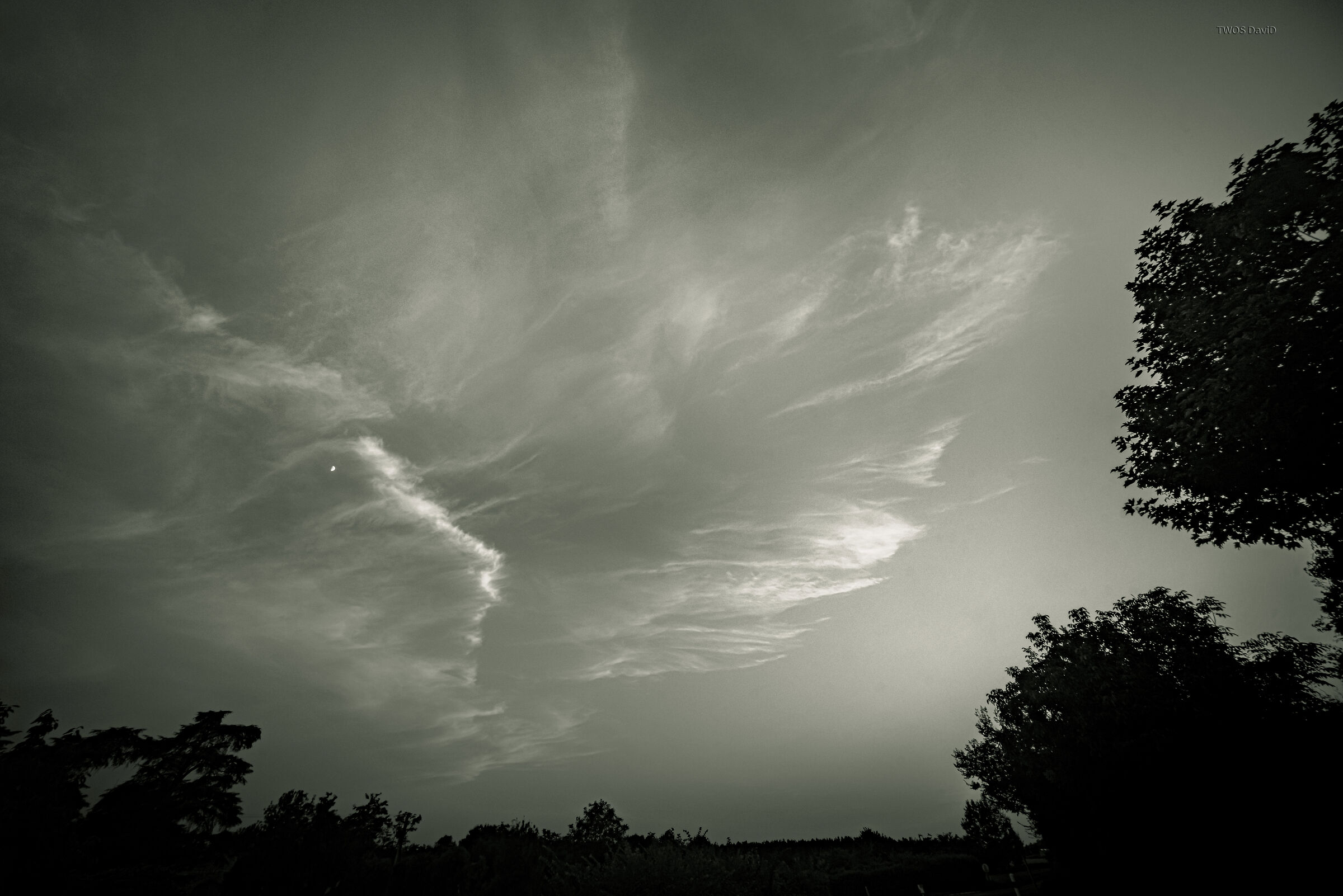 Vicino alla luna, il cielo offre un volto