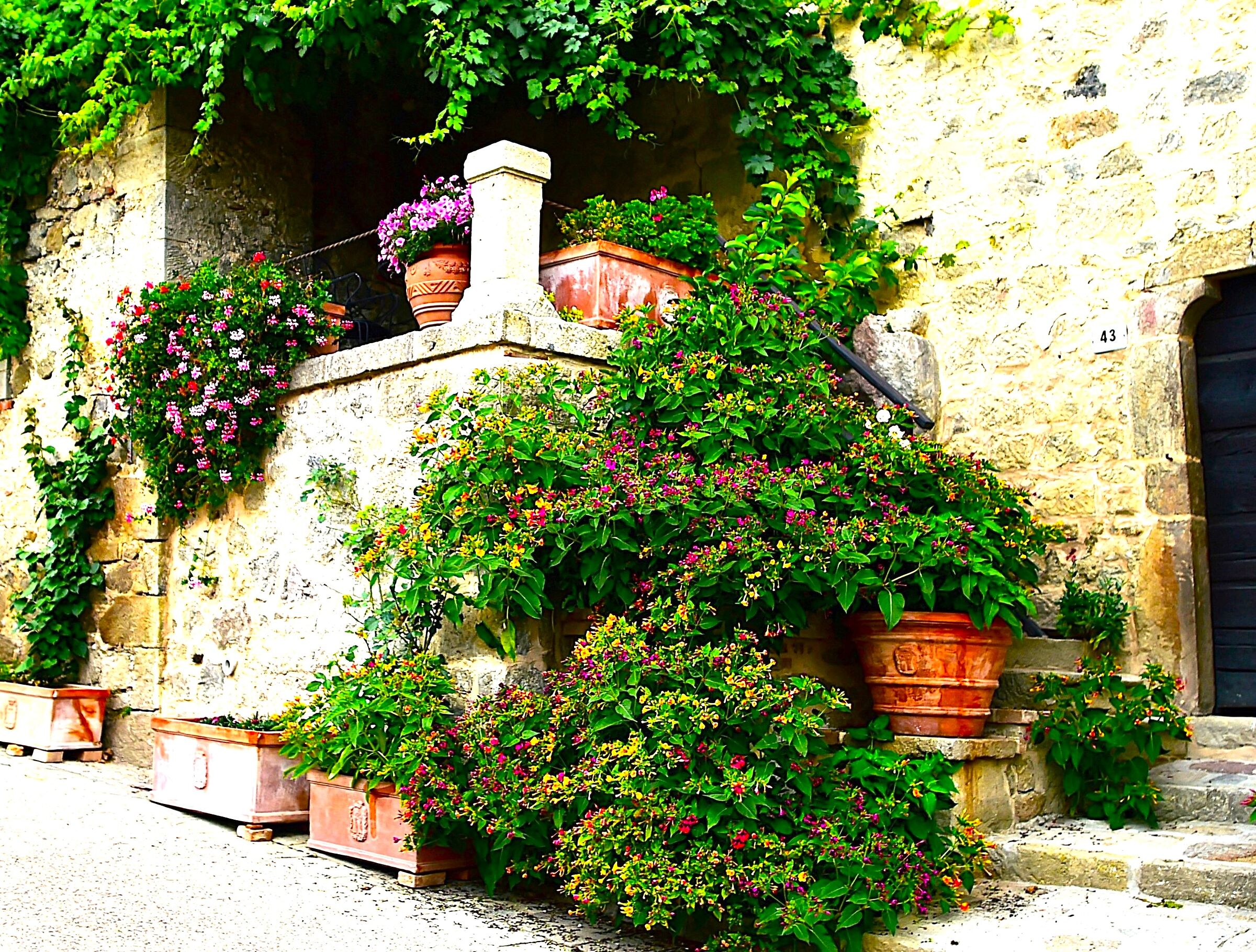 Santa Fiora - Amiata