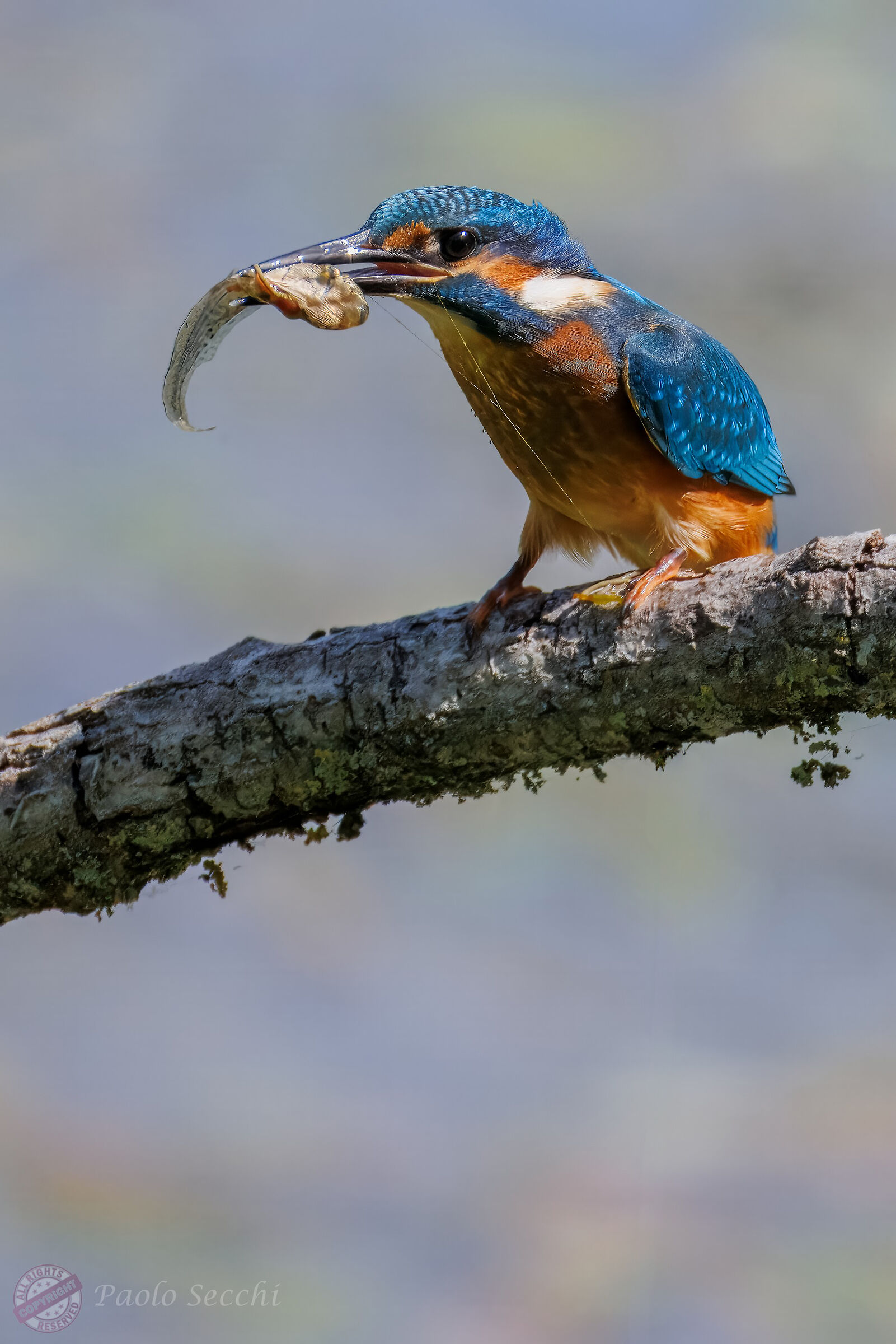 It may be good, but how ugly it is!