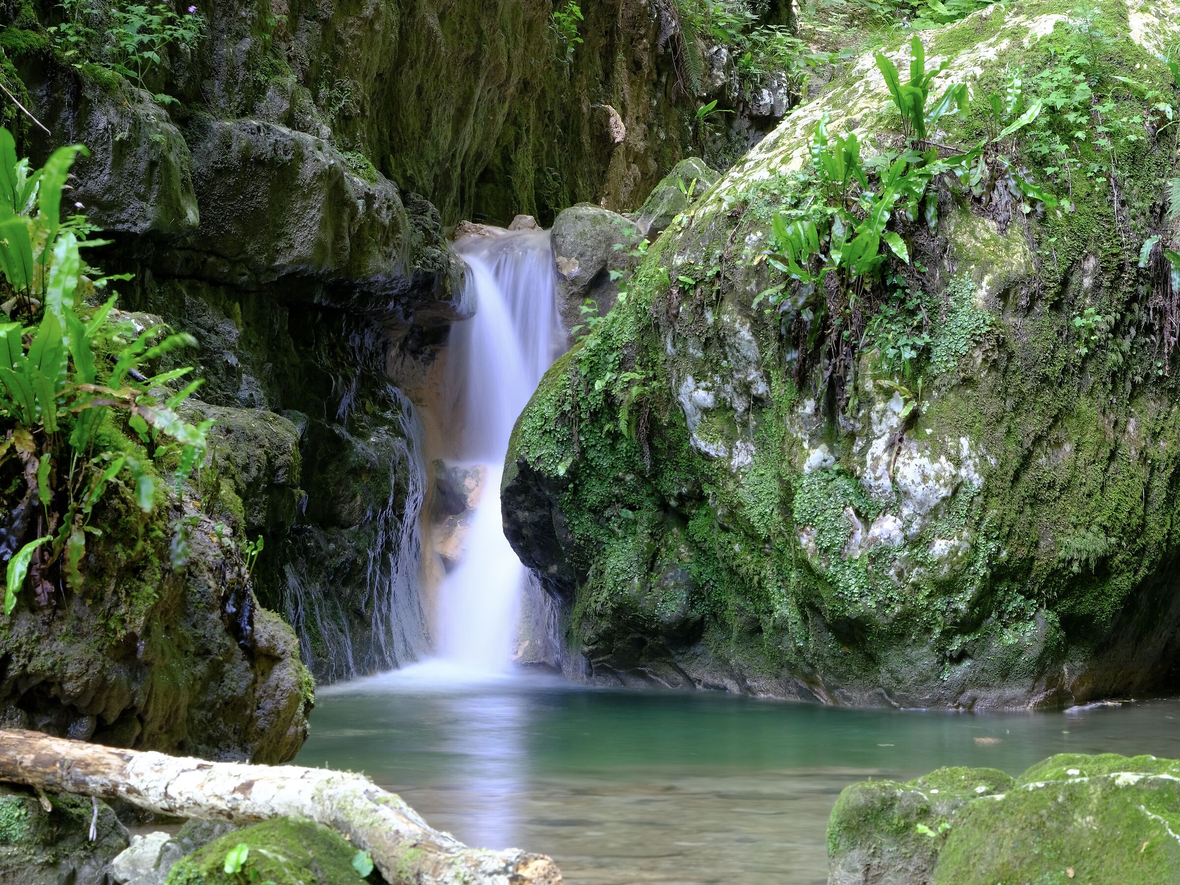 Molina Falls 2025