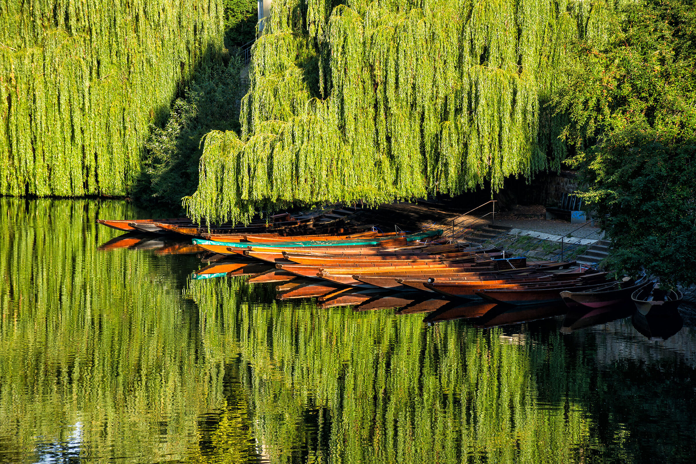 Reflections on the Tübingen Canal