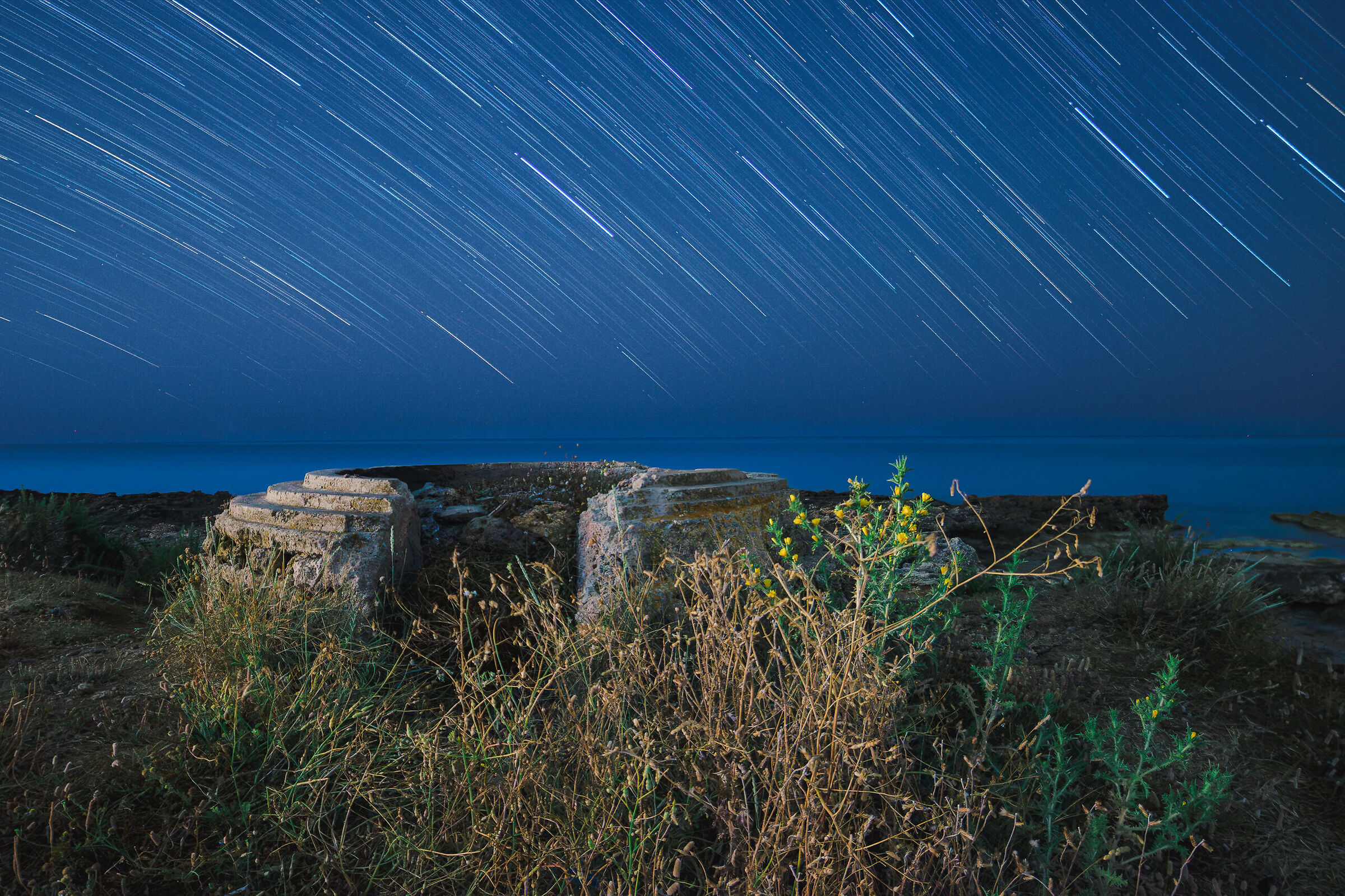 Star Trail