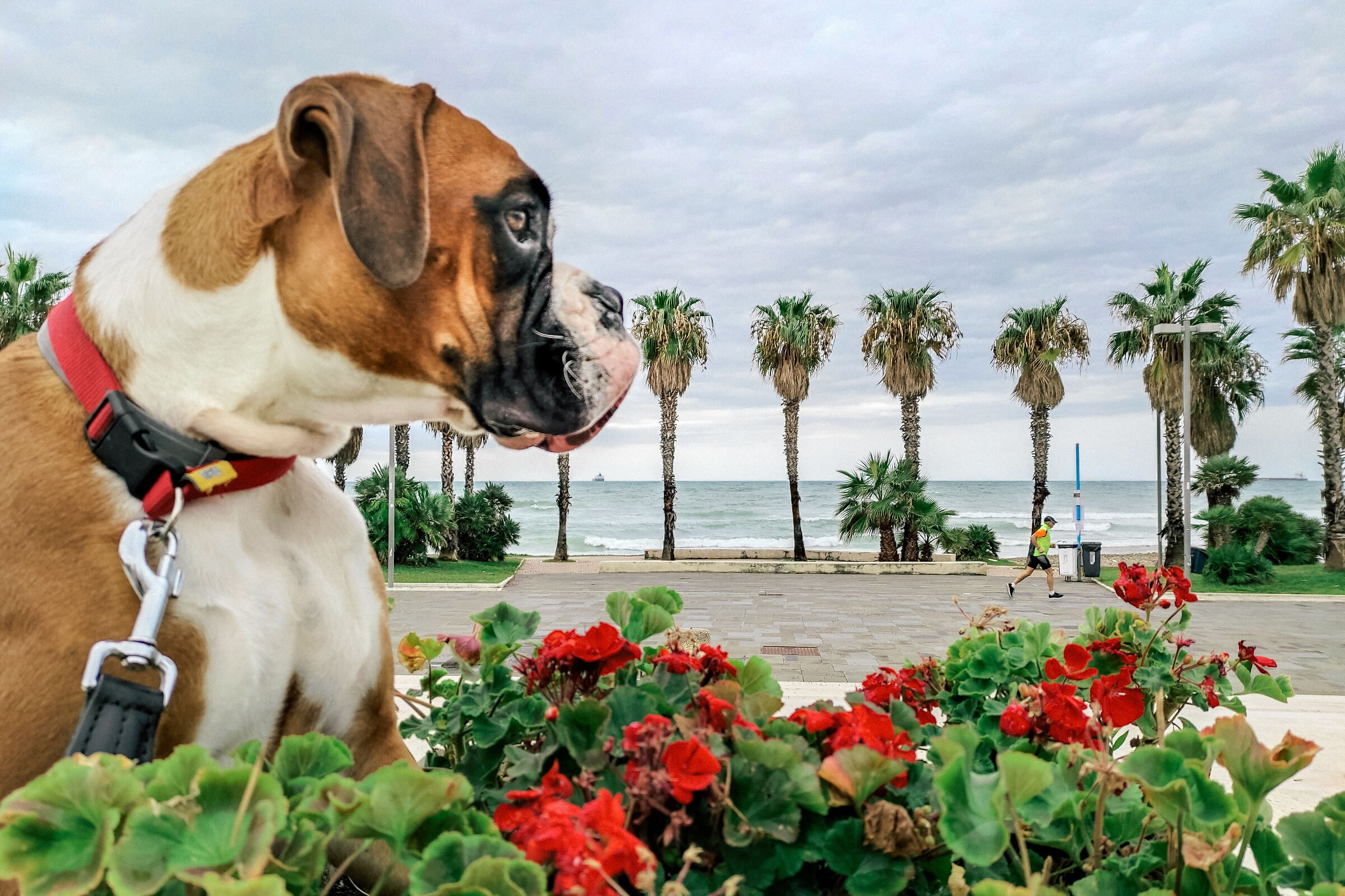 Seafront