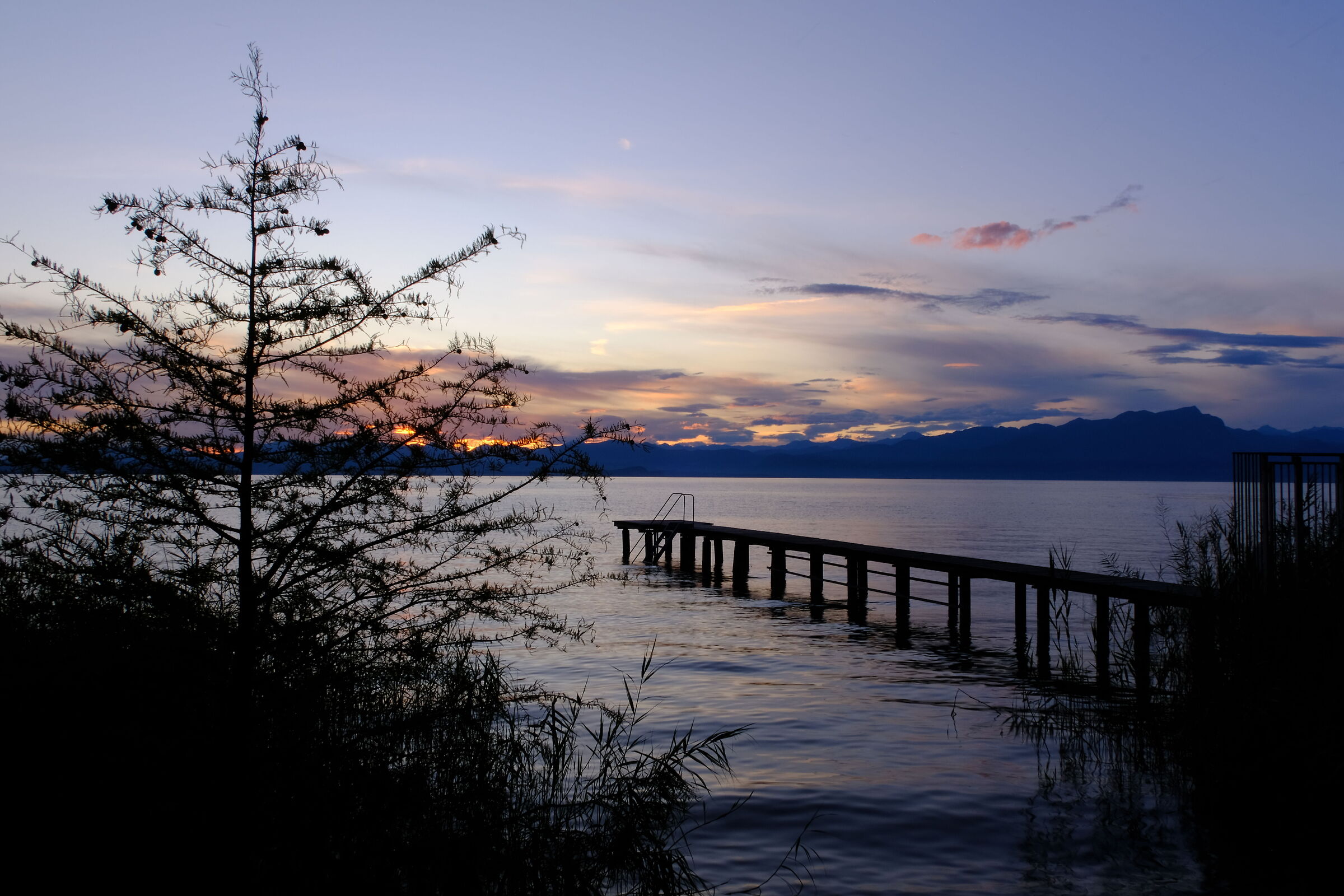 Lazise.