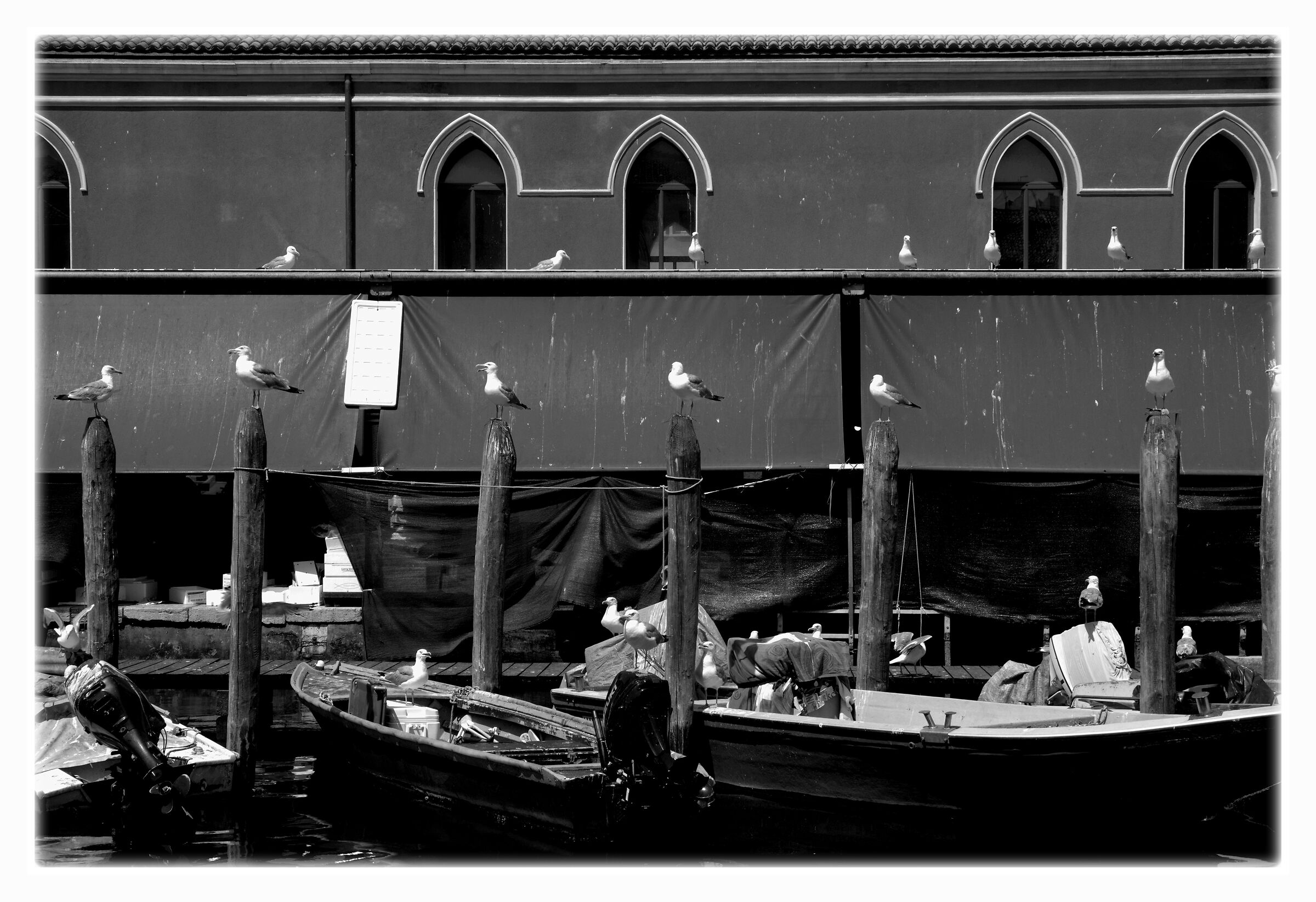 Asiduous market goers.... Pending