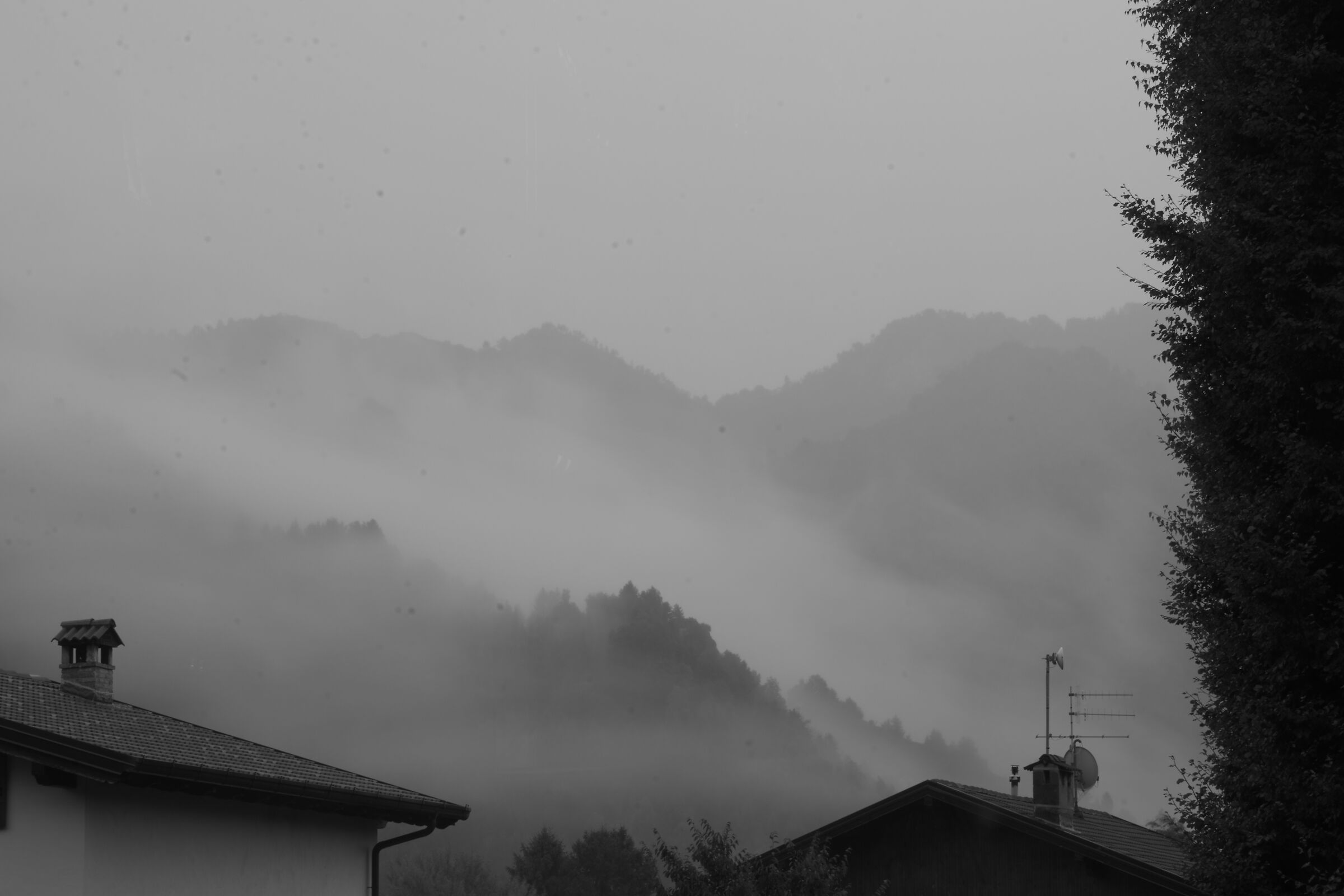 Simple Black & White 1