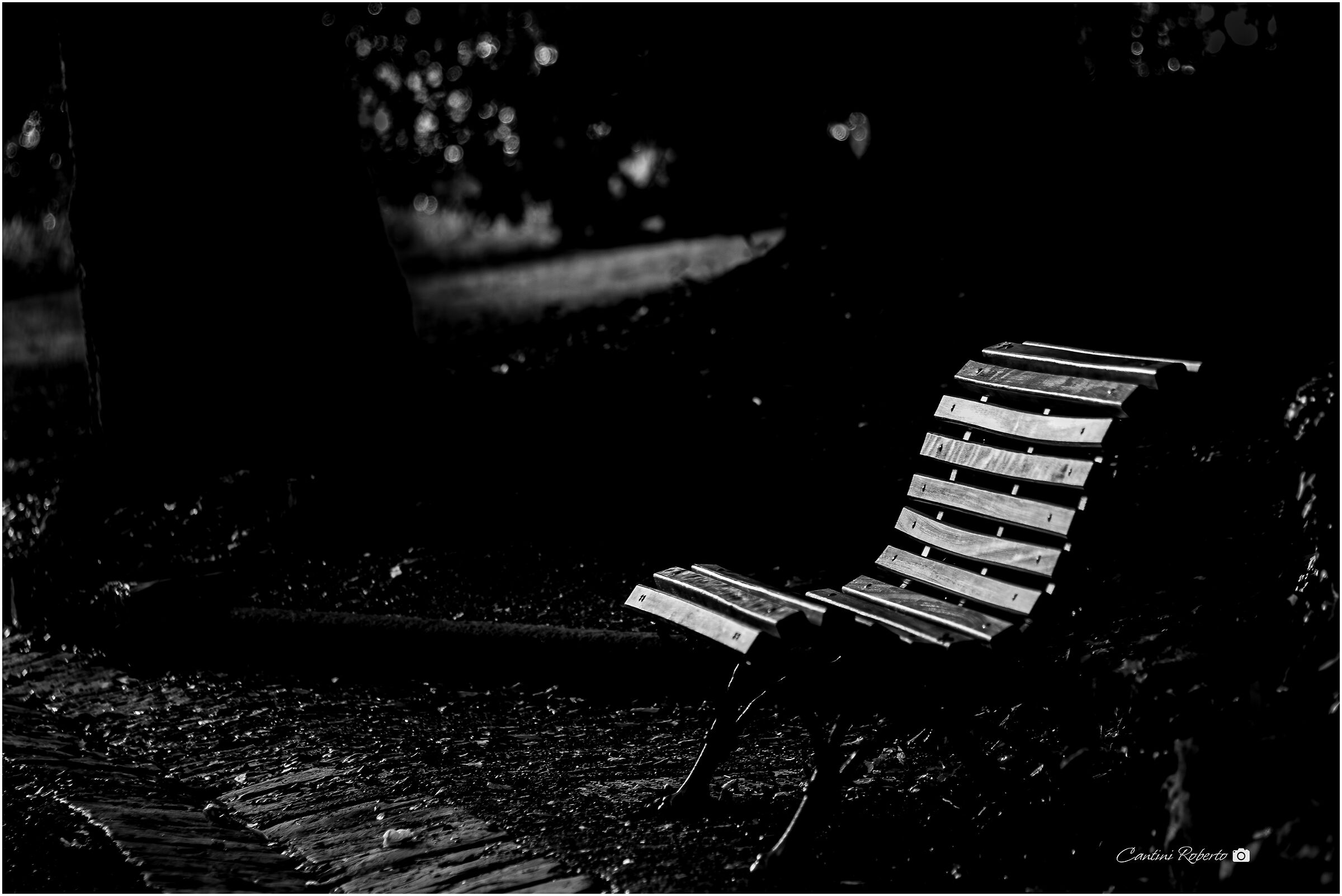 In the silence, a bench