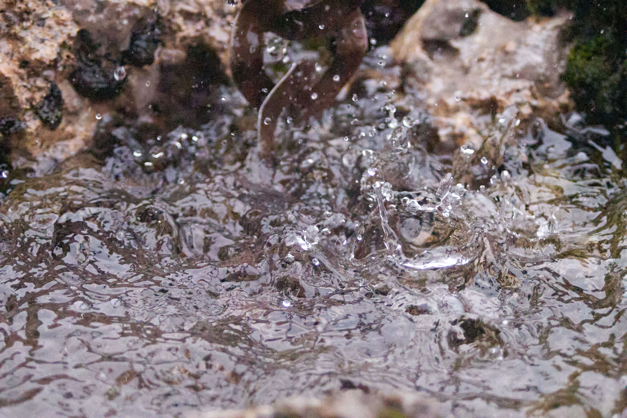 Water ISO 1 High