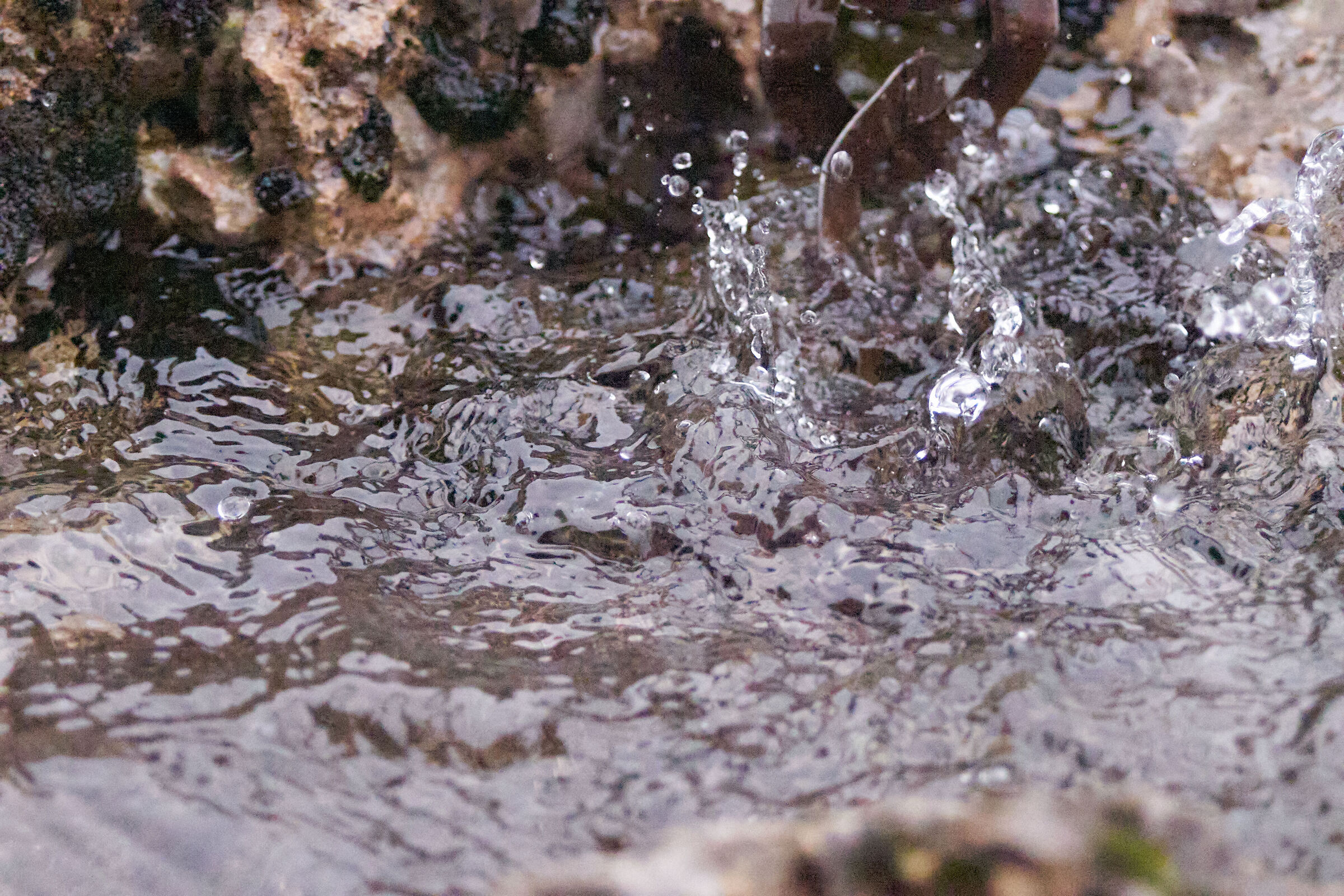 Water ISO 2 High