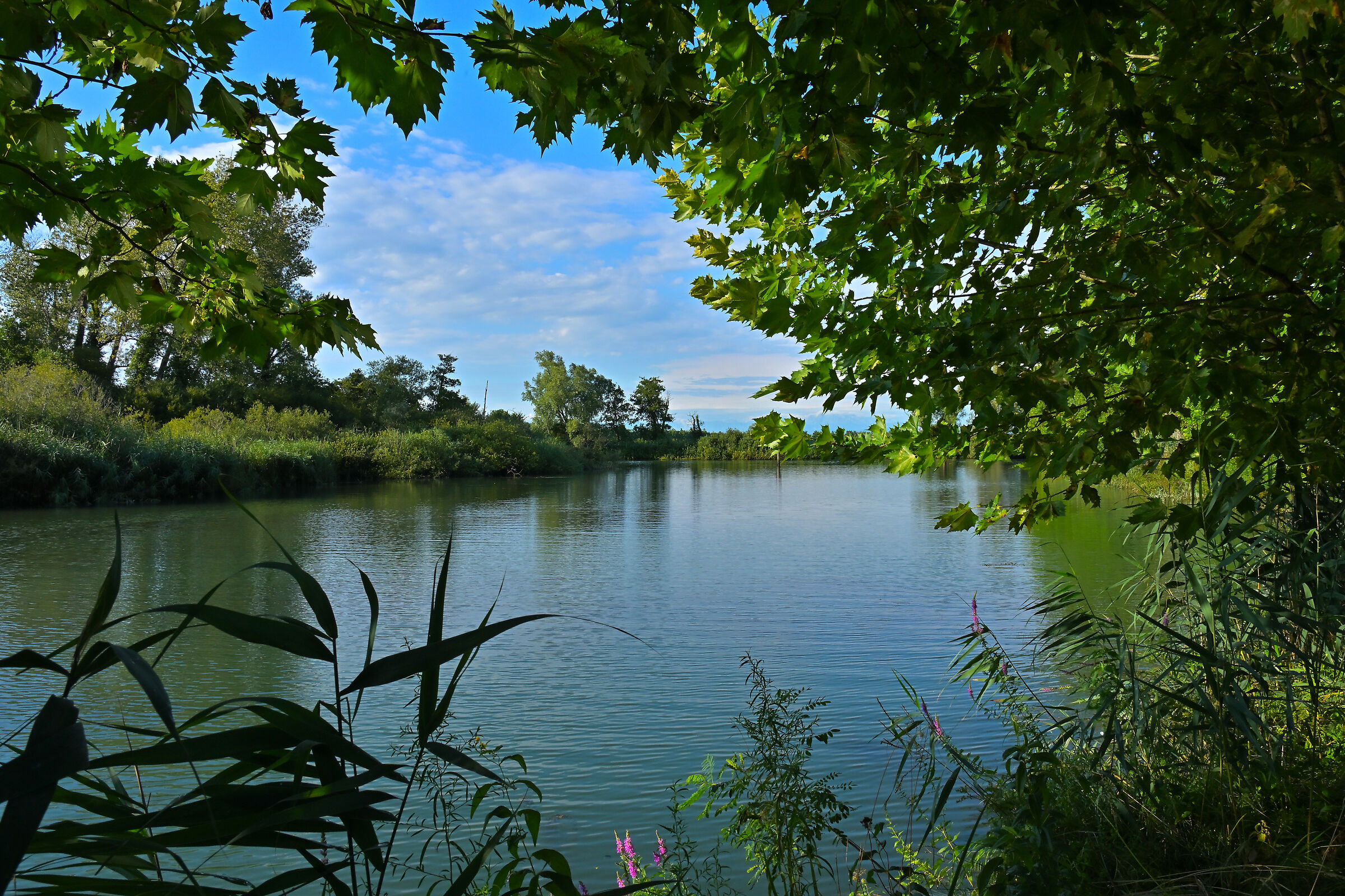 Untitled Photo