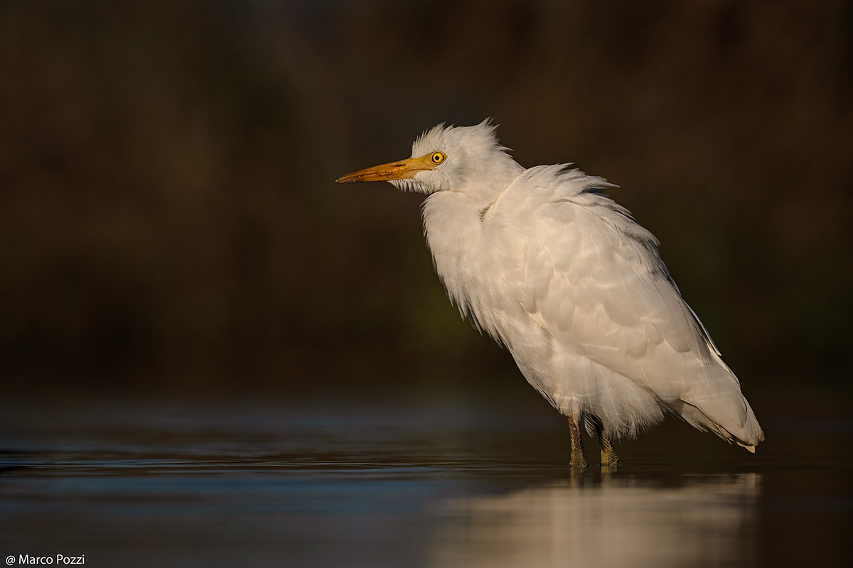 Waiting for the sunset ..