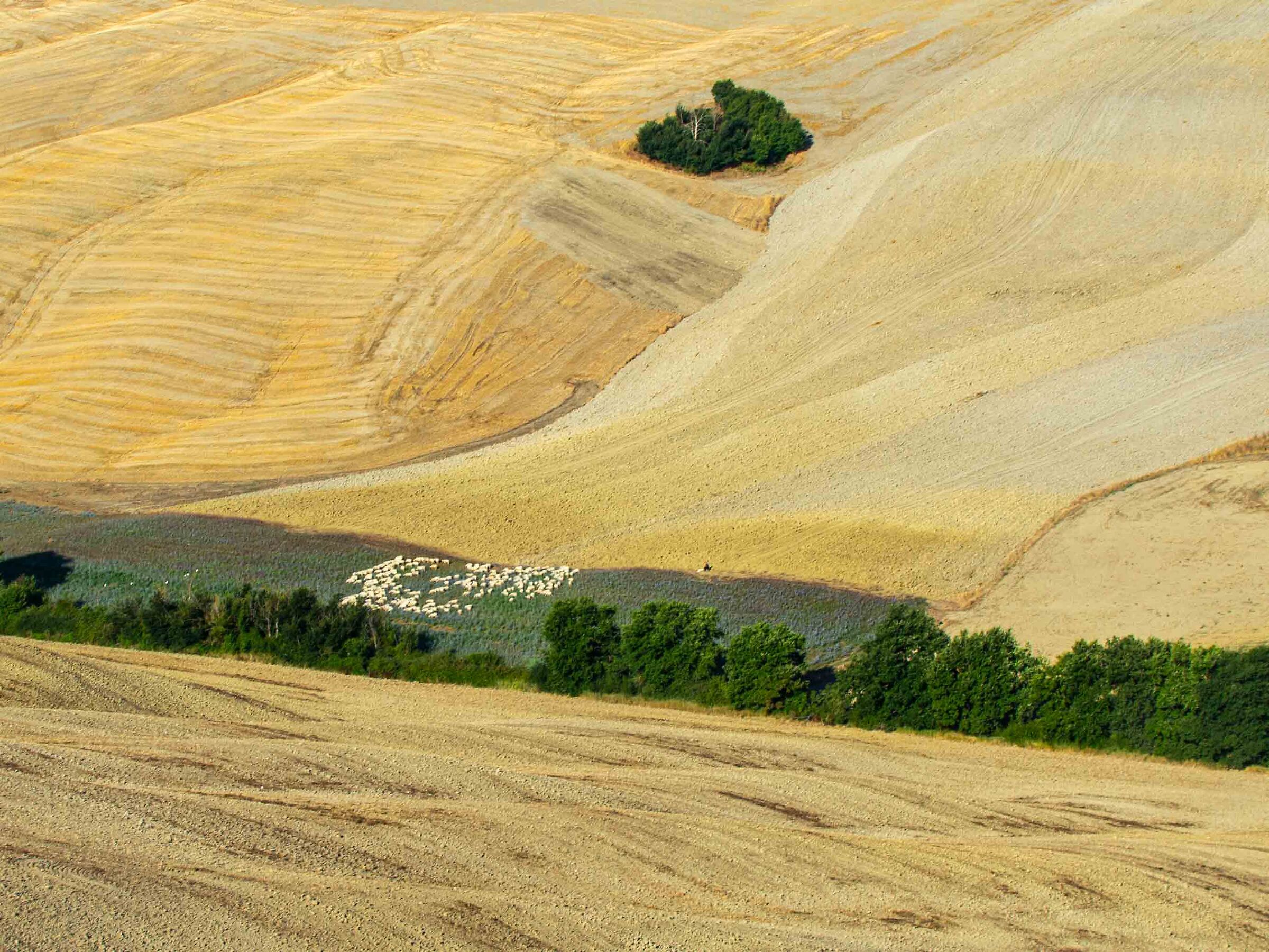 Crete senesi