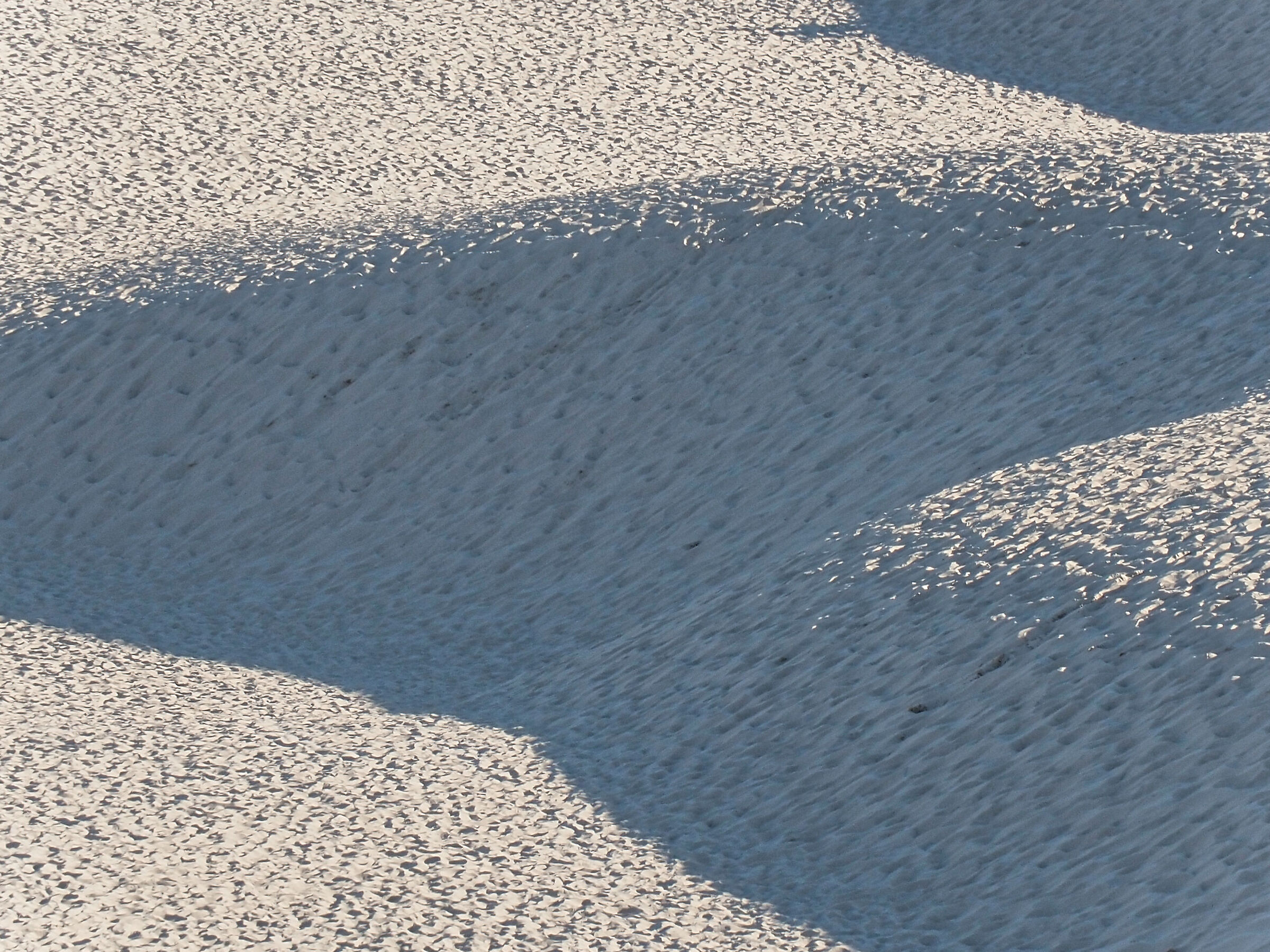 PILAT_2024 (_8161364-1)