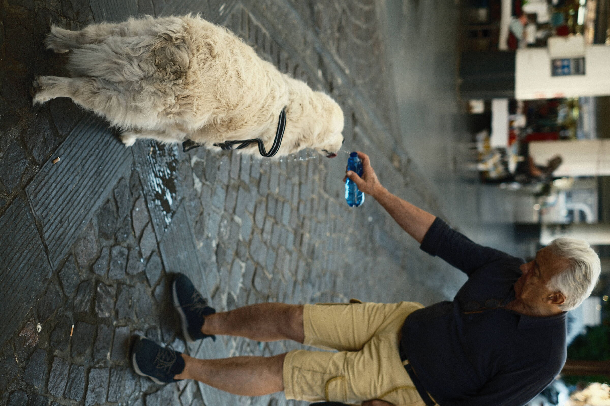 Gentleman watering his dog